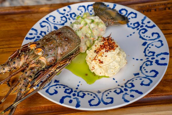 Santa Teresa: Snorkeling Boat Tour with Gourmet Lunch – Guanacaste, Costa Rica