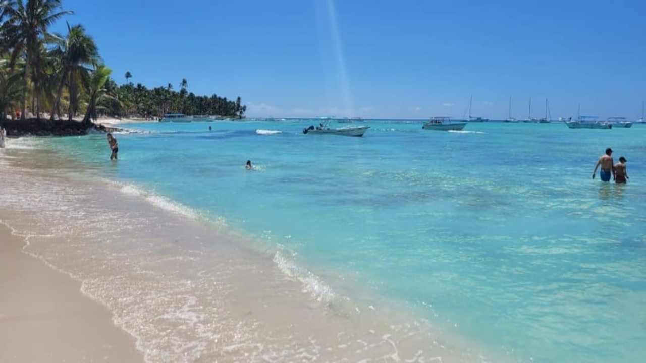 Santo Domingo: Isla Saona Day Trip with Lunch & Drinks – Santo Domingo, Dominican Republic