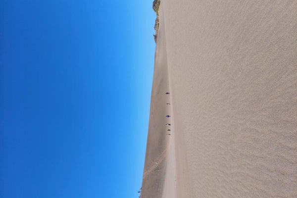 Santo Domingo: Salinas Desert Sandboarding & Snorkeling Tour – Santo Domingo, Dominican Republic