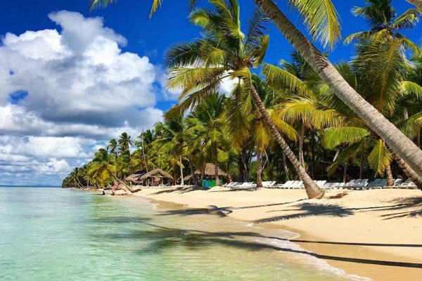 Santo Domingo: Saona Island Day Trip with Catamaran Ride – Santo Domingo, Dominican Republic