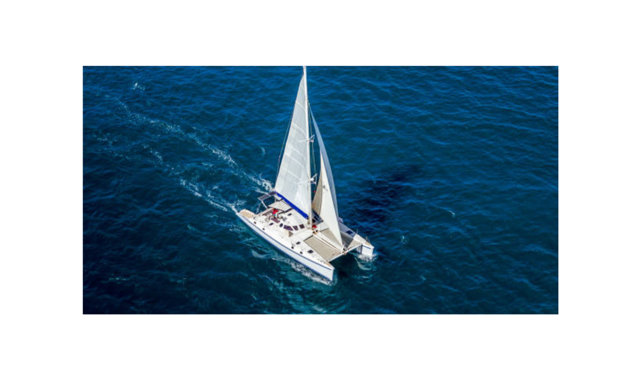 Saona Island From Santo Domingo With Catamaran, Food & Drink – Santo Domingo, Dominican Republic