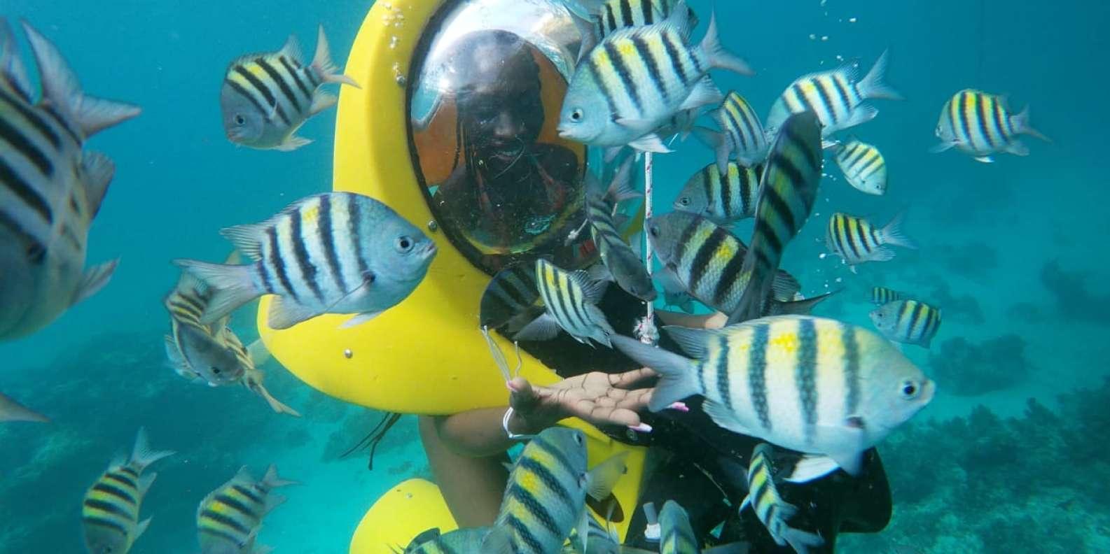 Scubadoo Punta Cana Diving Adventure – Punta Cana, Dominican Republic