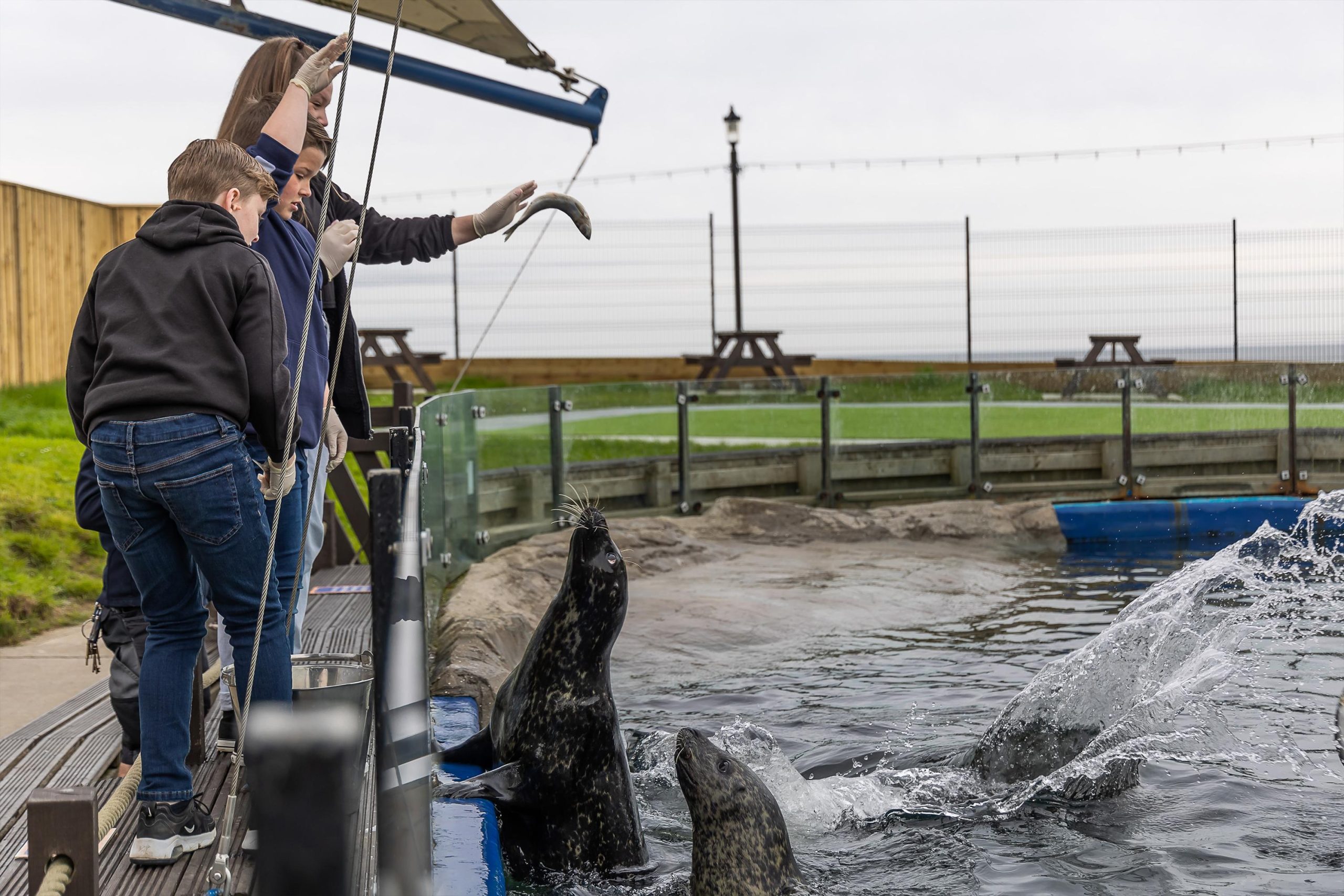 Sea Life Scarborough – Scarborough, United Kingdom