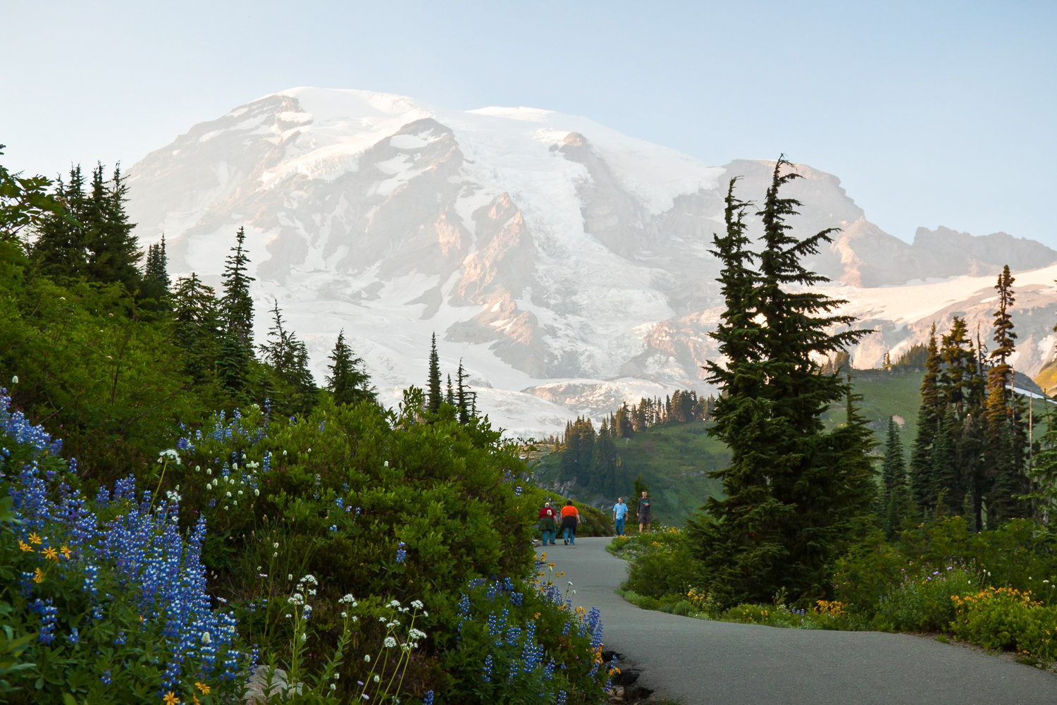 Seattle: Mount Rainier Park All-Inclusive Small Group Tour – Mount Rainier National Park, Washington