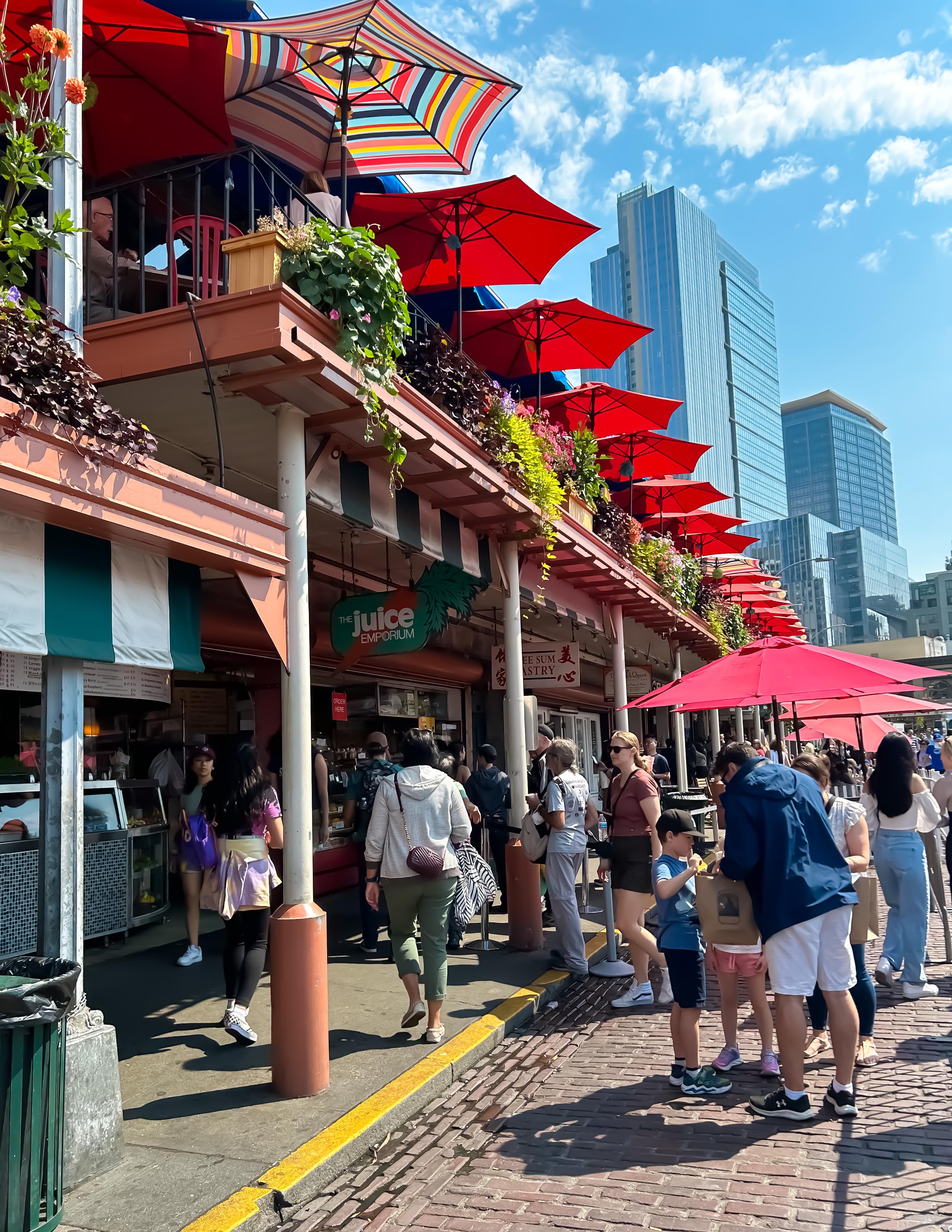 Seattle: Private 2.5 Hour Seattle City Tour – Seattle, Washington