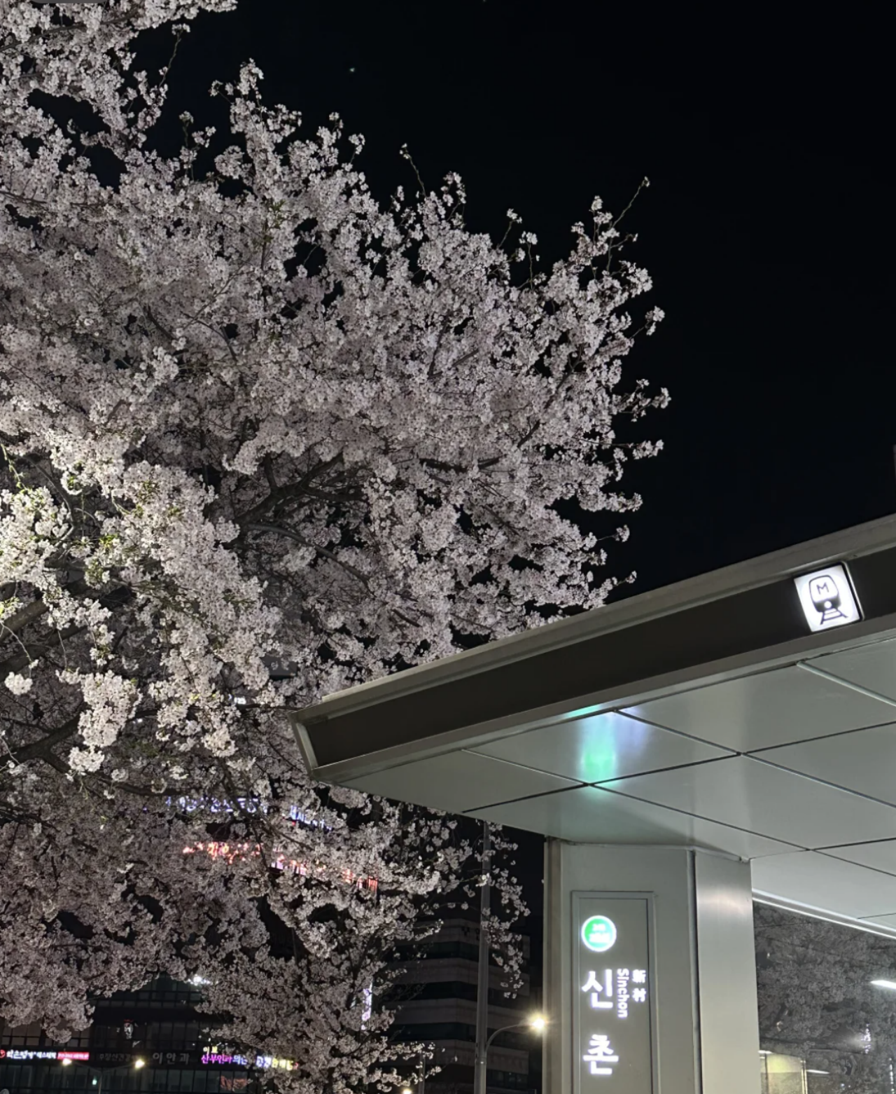 Seoul City Cherry Blossom Private Sightseeing Tour – Washington, Washington DC