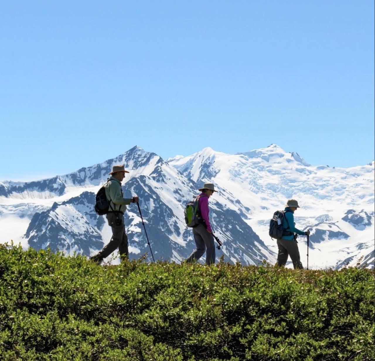 Seward: Helicopter and Hiking Tour – Seward, Alaska