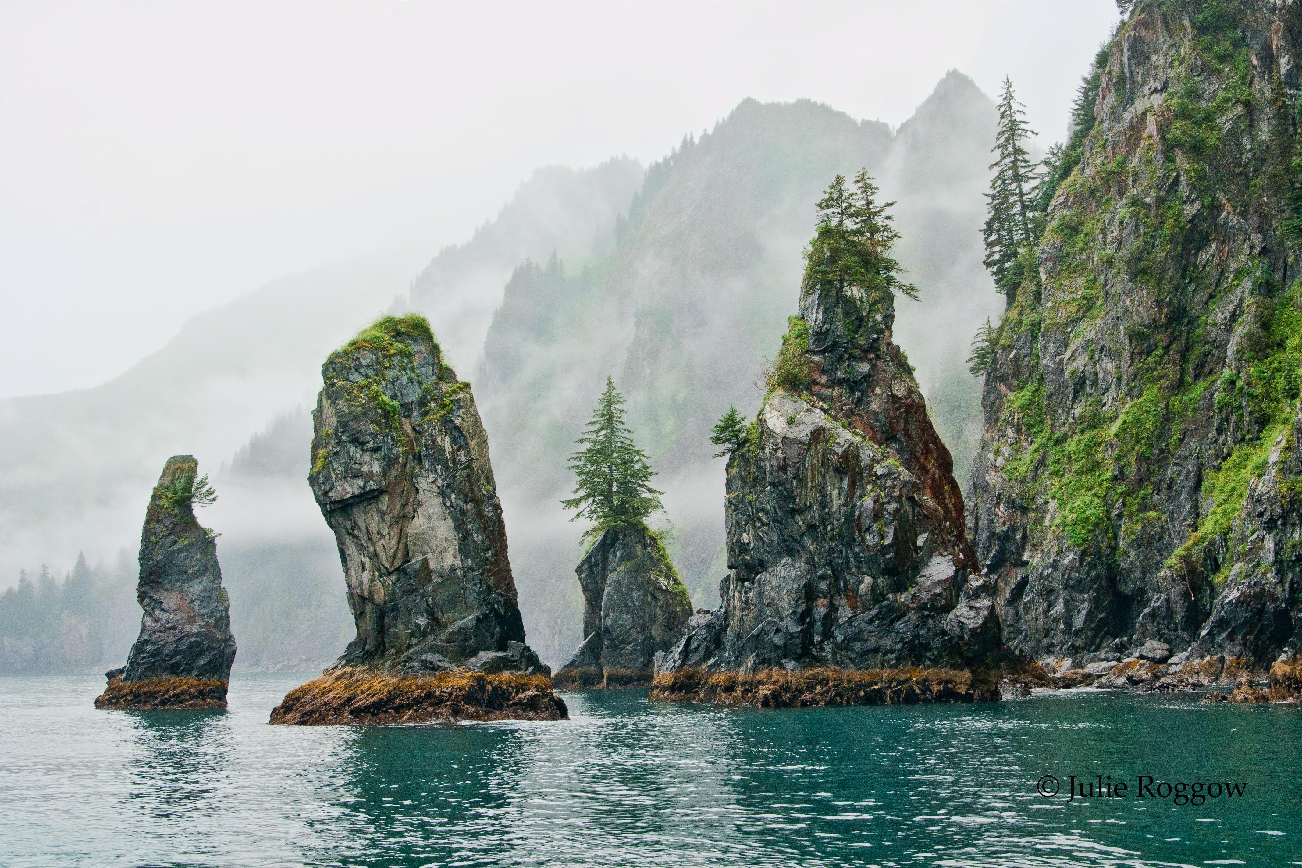 Seward: Resurrection Bay Half-Day Sightseeing Cruise – Seward, Alaska