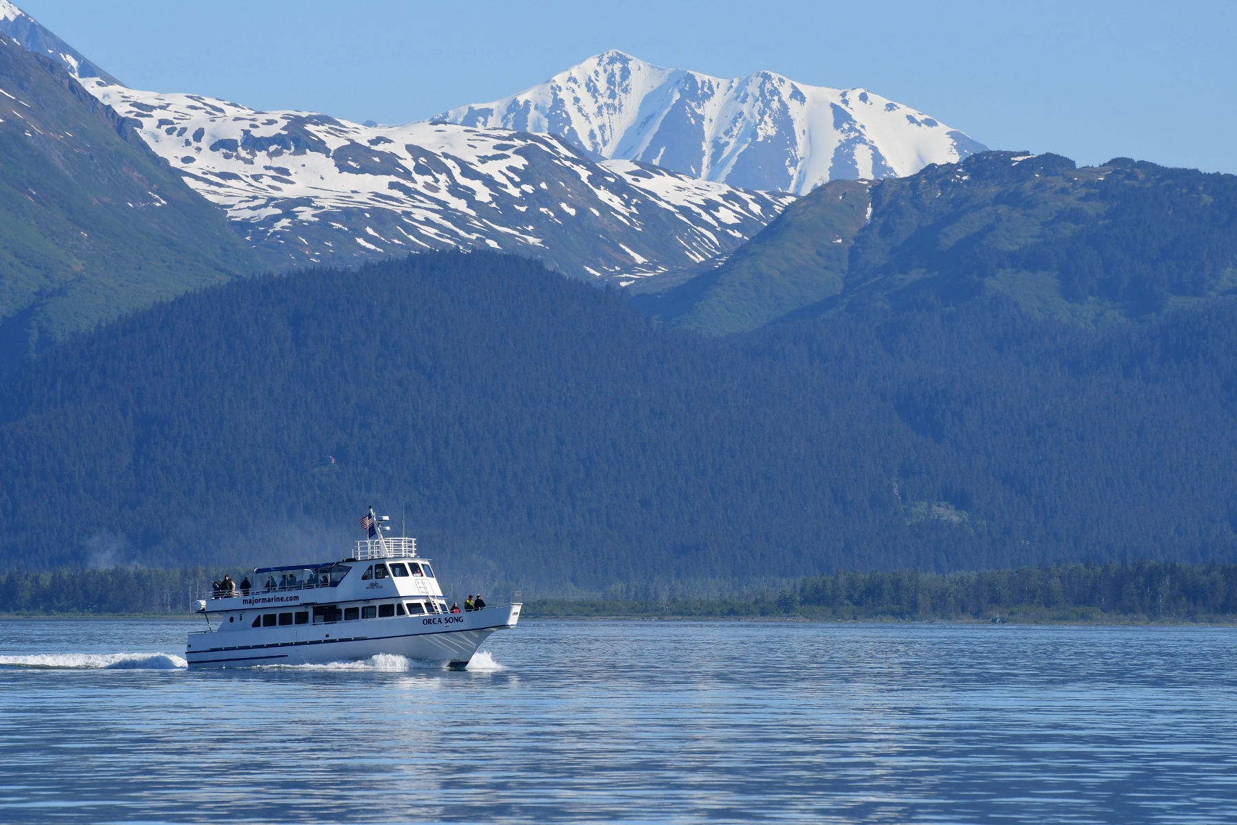 Seward: Resurrection Bay Orca Quest Cruise – Seward, Alaska