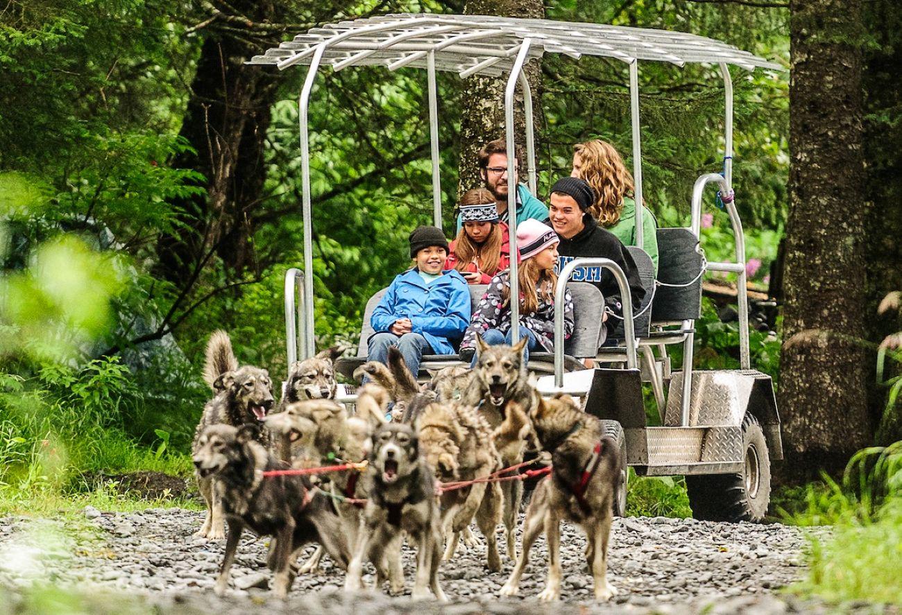 Seward: Turning Heads Kennel Tour & Dog Sled Ride – Seward, Alaska