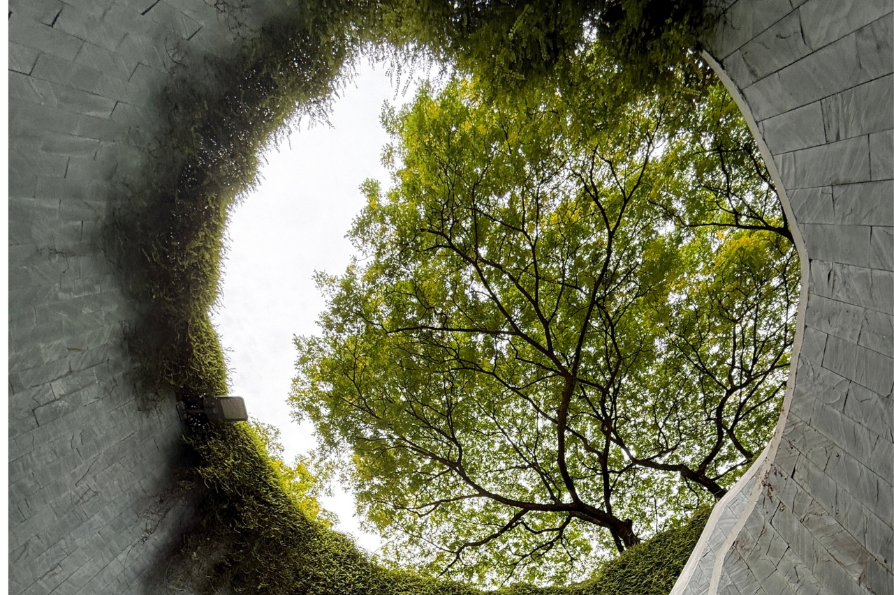 Singapore: 700 Years of History River Cruise & Walking Tour – Singapore