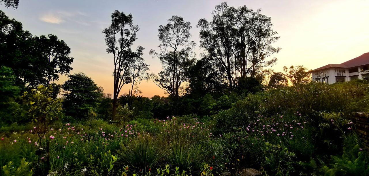 Singapore: Botanic Gardens & Tiong Bahru Walk w/Breakfast – Singapore