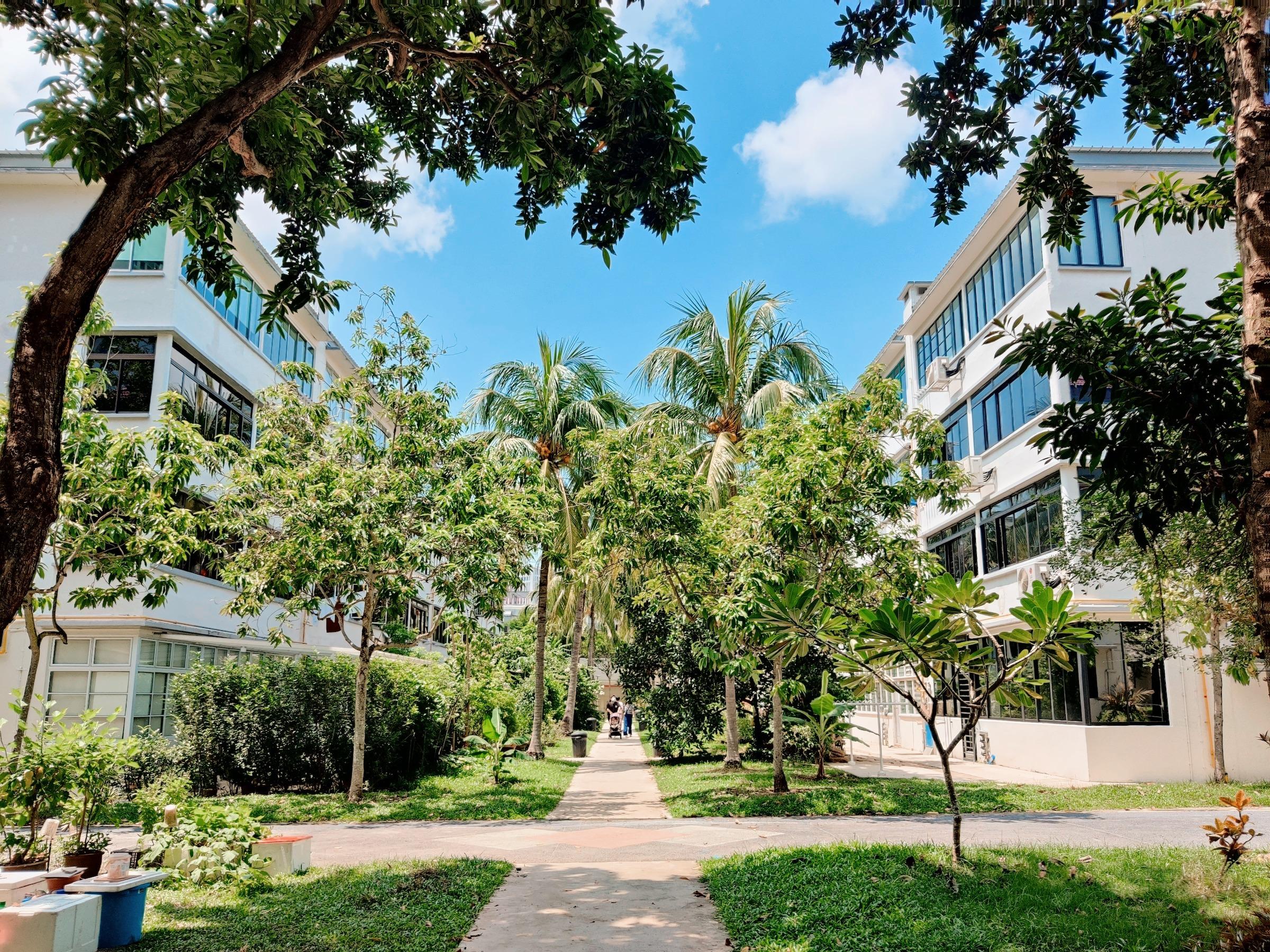 Singapore: Explore Oldest Estate Tiong Bahru Stories & Snack – Singapore