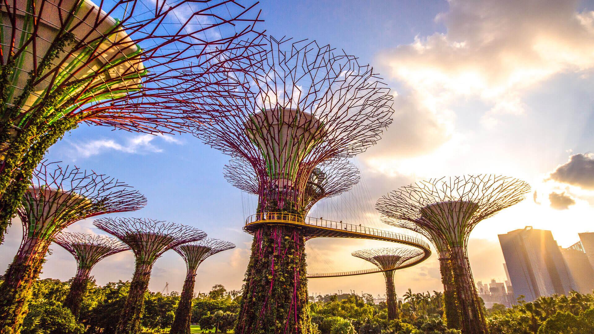 Singapore: Gardens by the Bay Bundle Entry Ticket – Singapore