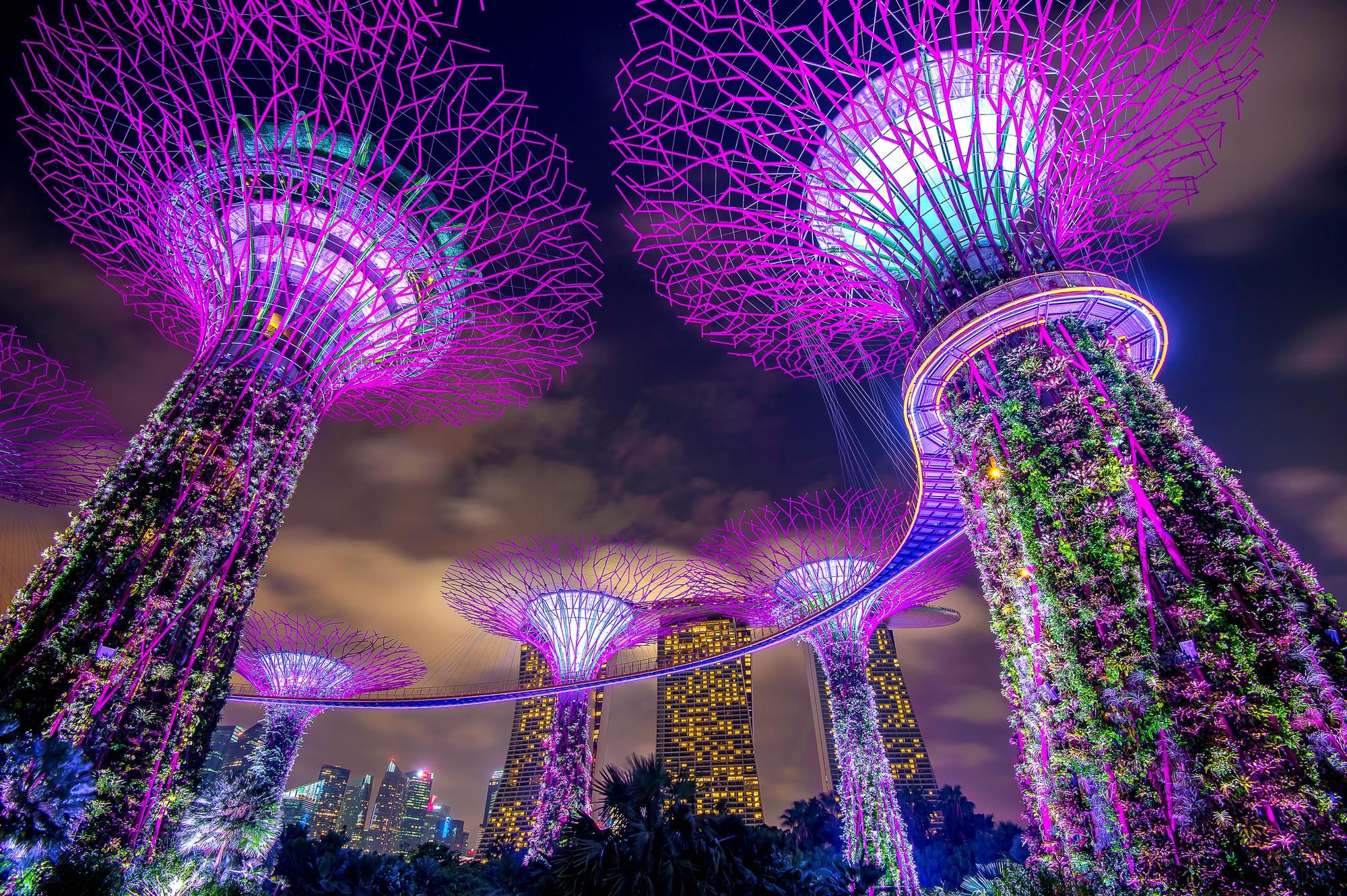 Singapore: Marina Bay Sands & Gardens By The Bay & Transfer – Singapore