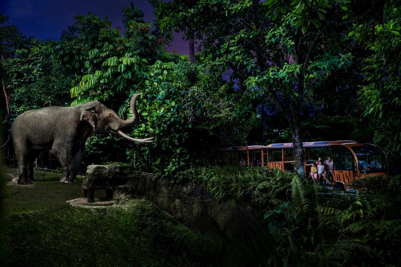 Singapore: Night Safari Singapore w/ Tram – Singapore