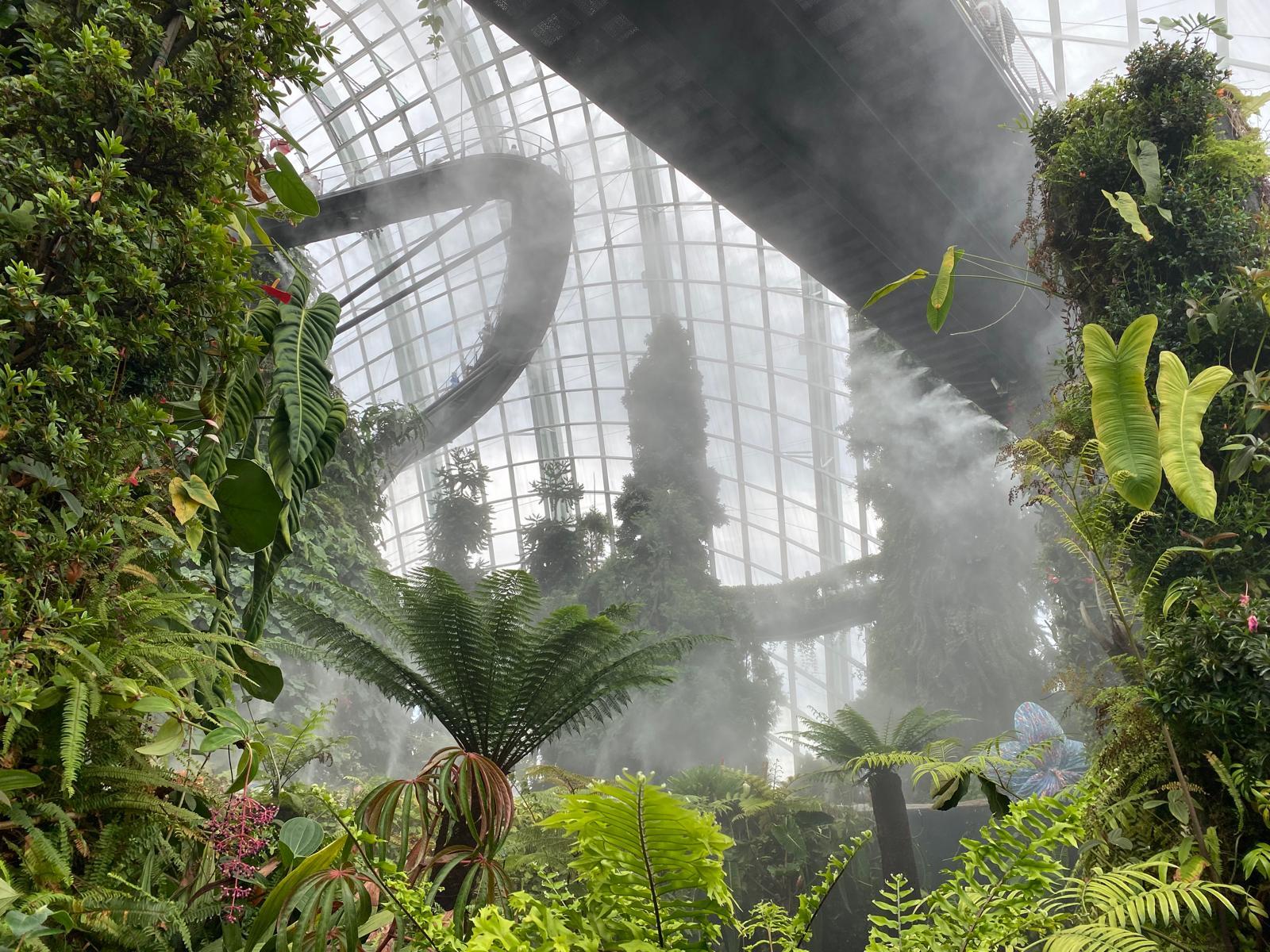 Singapore: Private Customized Tour with transportation – Singapore