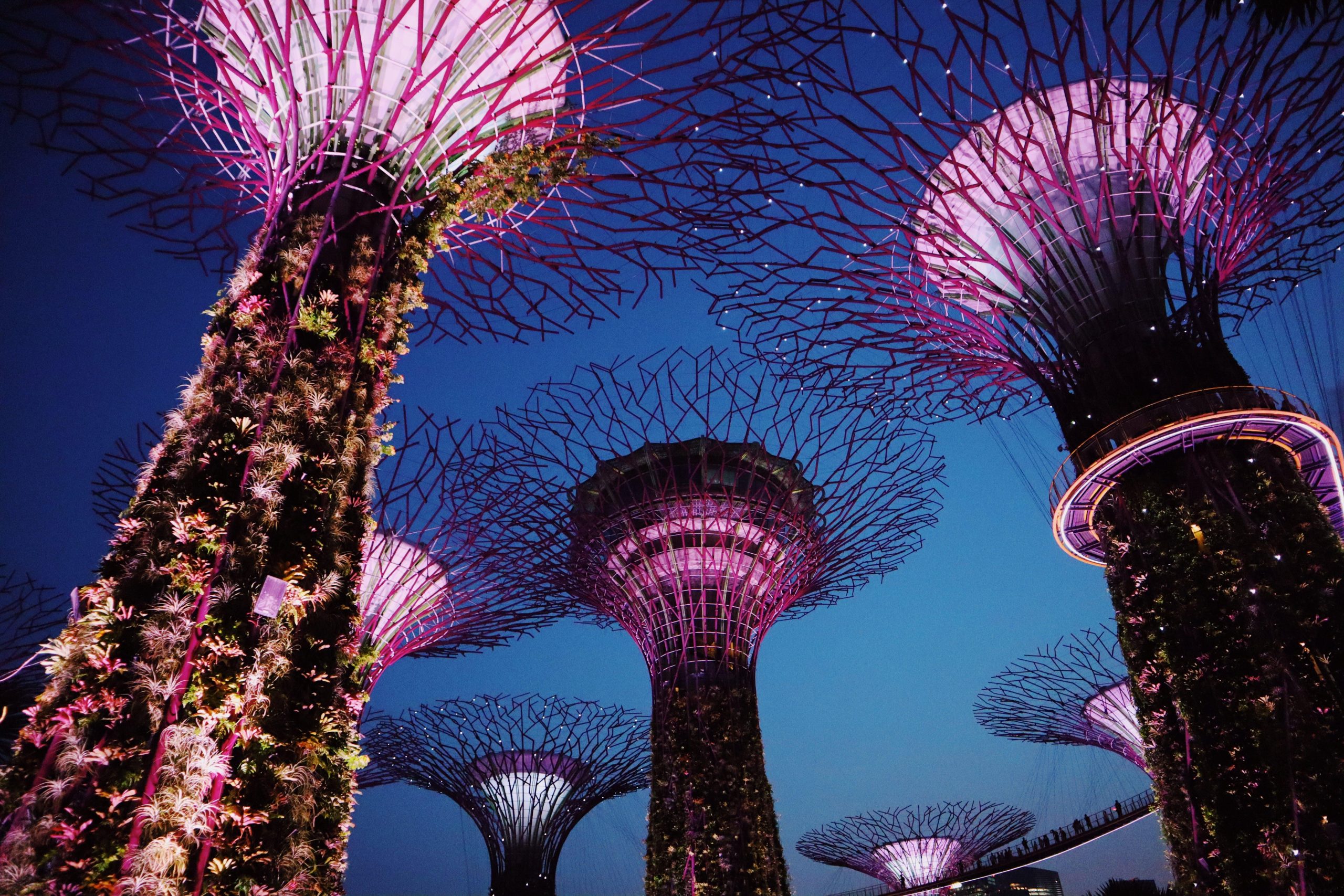 Singapore: Private Tour with a Local Guide – Singapore