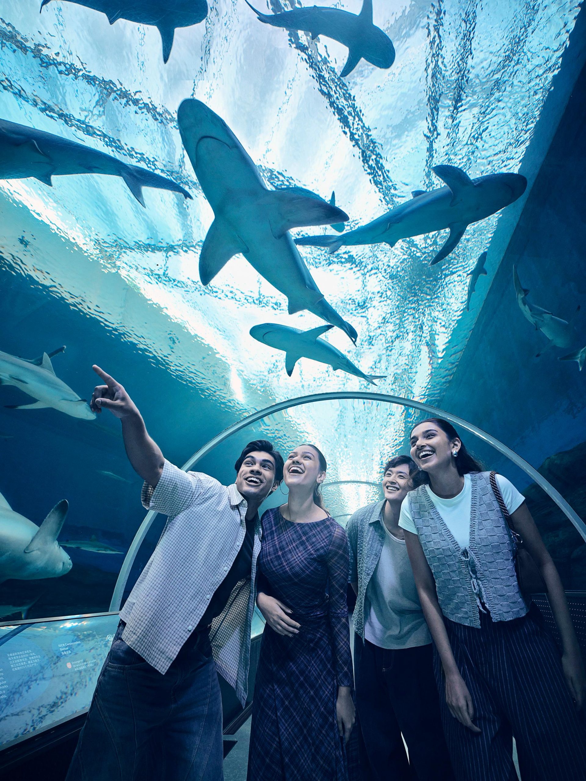Singapore: Singapore Oceanarium Entrance E-Ticket – Singapore