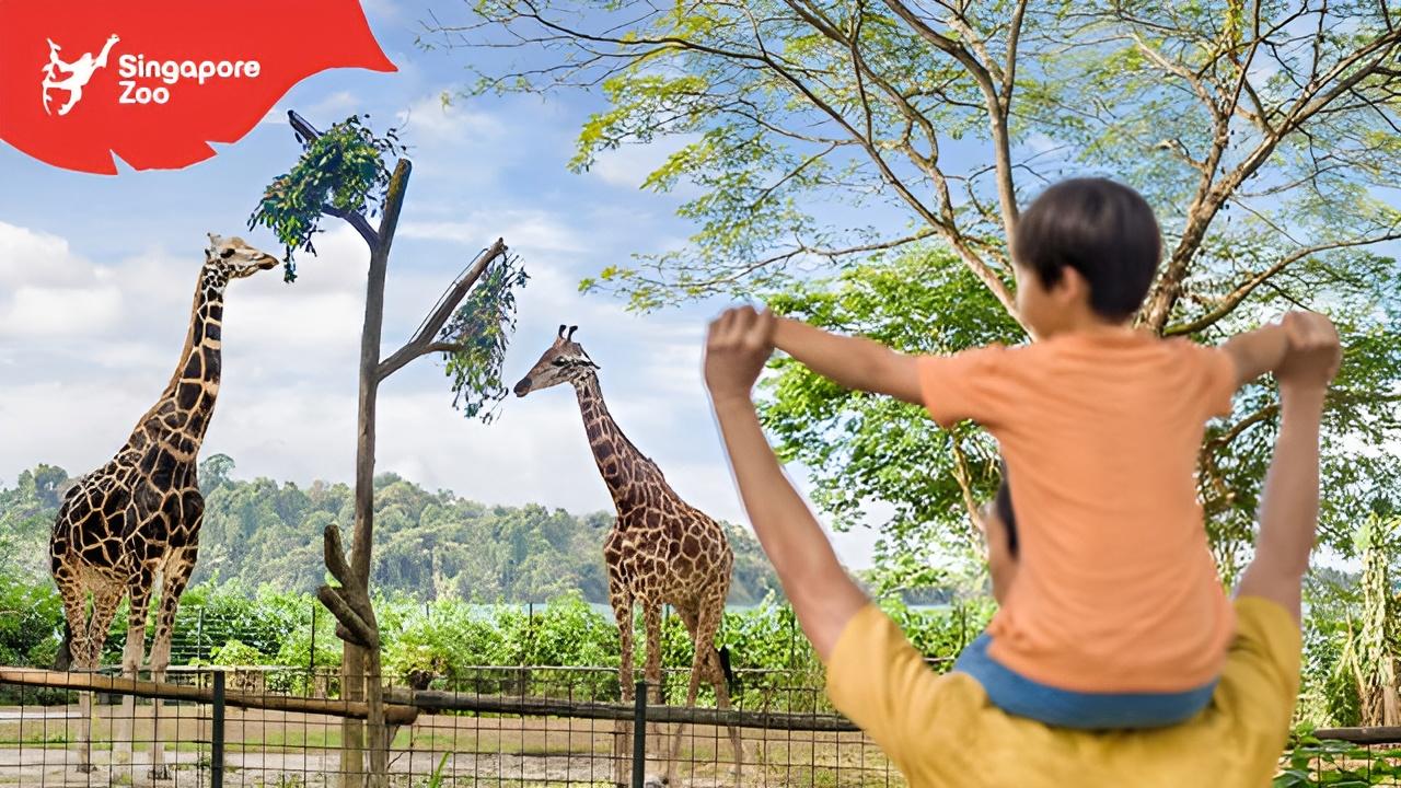 Singapore Zoo: 1-Day Entrance E-Ticket – Singapore