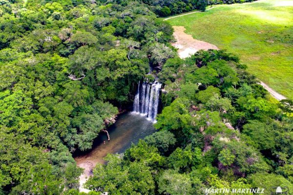 Sloth Watching & Chocolate Tour Bijagua Rainforest & Lunch – Santa Cruz, Costa Rica