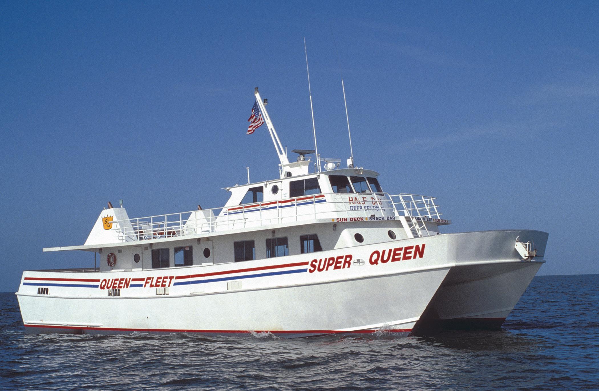 Small Group Clearwater Beach,Dolphin Watch Tour from Orlando – Clearwater, Florida