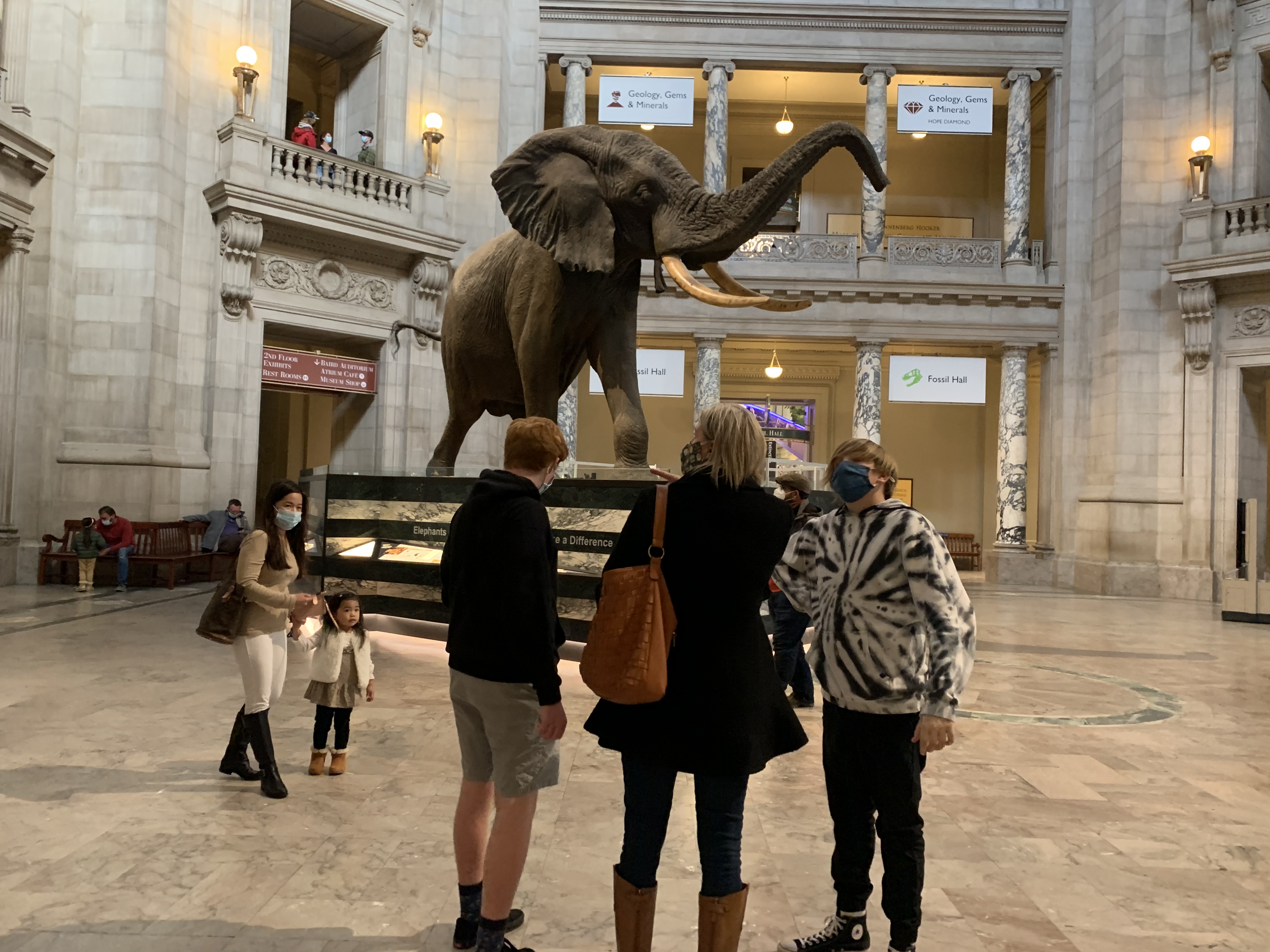 Smithsonian National Museum of Natural History Guided Tour – Washington DC