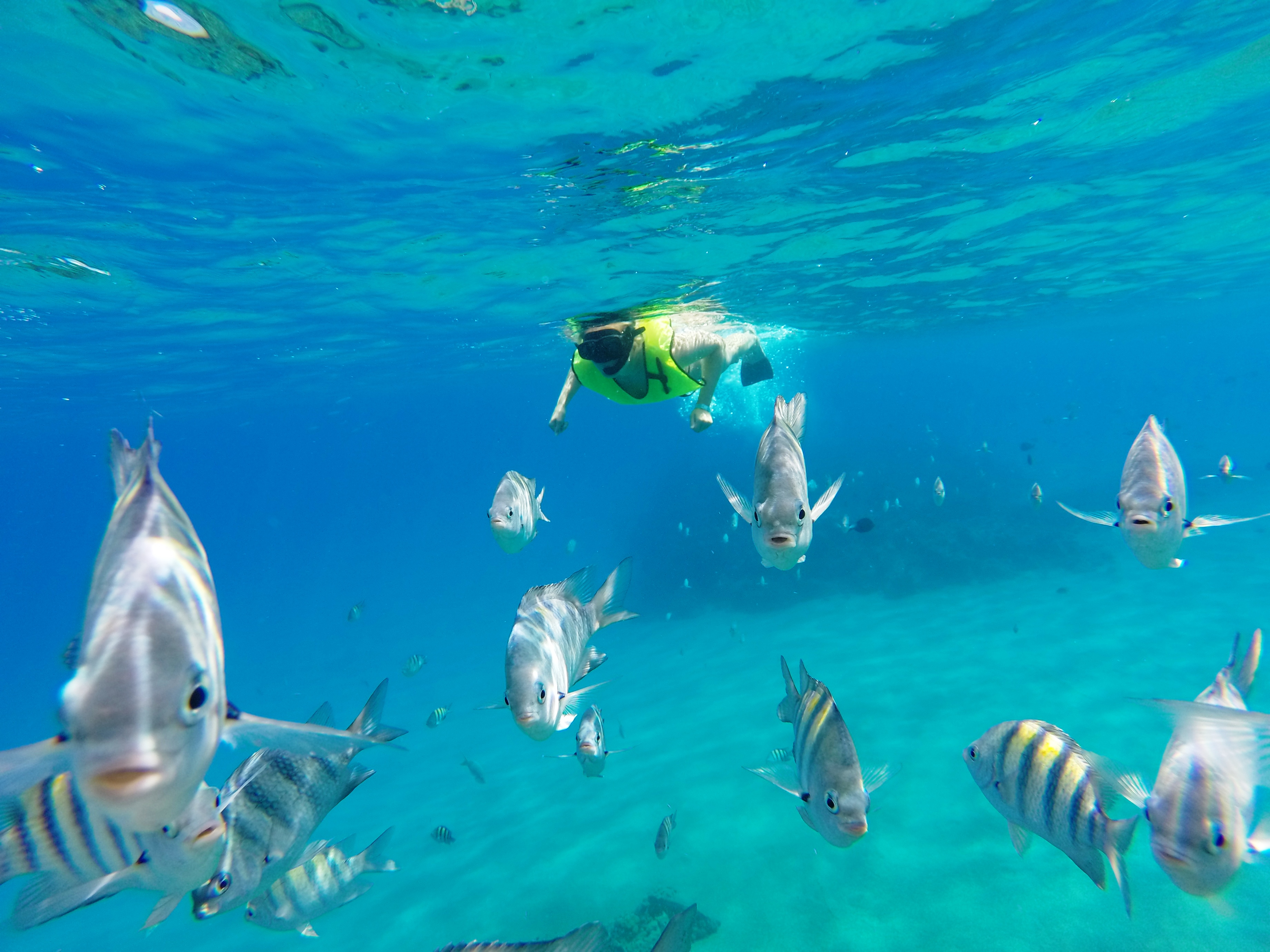 Snorkeling Tour & Sosua Beach Day – Puerto Plata, Dominican Republic