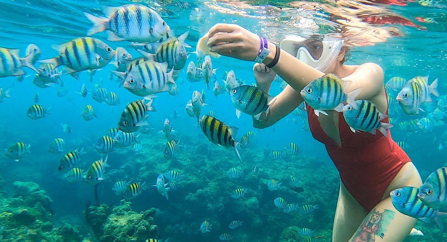 Snorkeling in Montego Bay with Transportation – Montego Bay, Jamaica