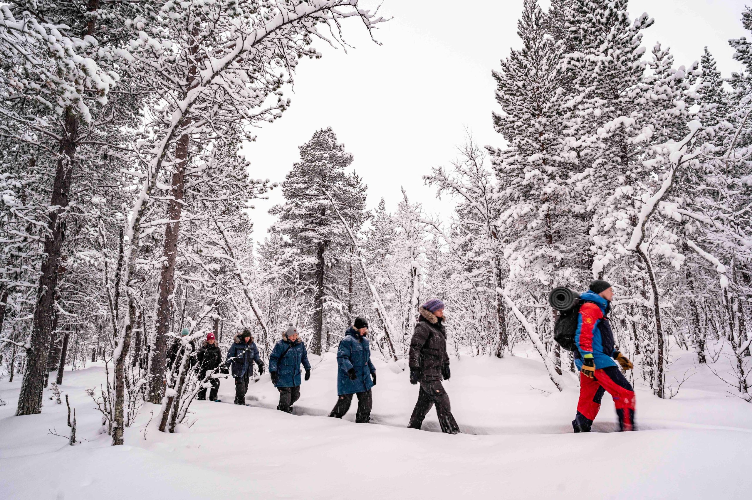Snowshoe in a Winter Forest – Kiruna, Sweden