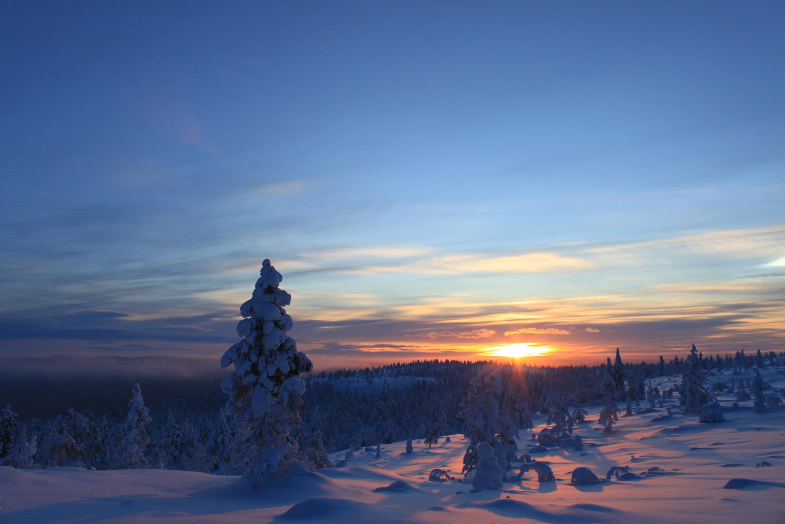 Snowshoe up a Mountain – Kiruna, Sweden