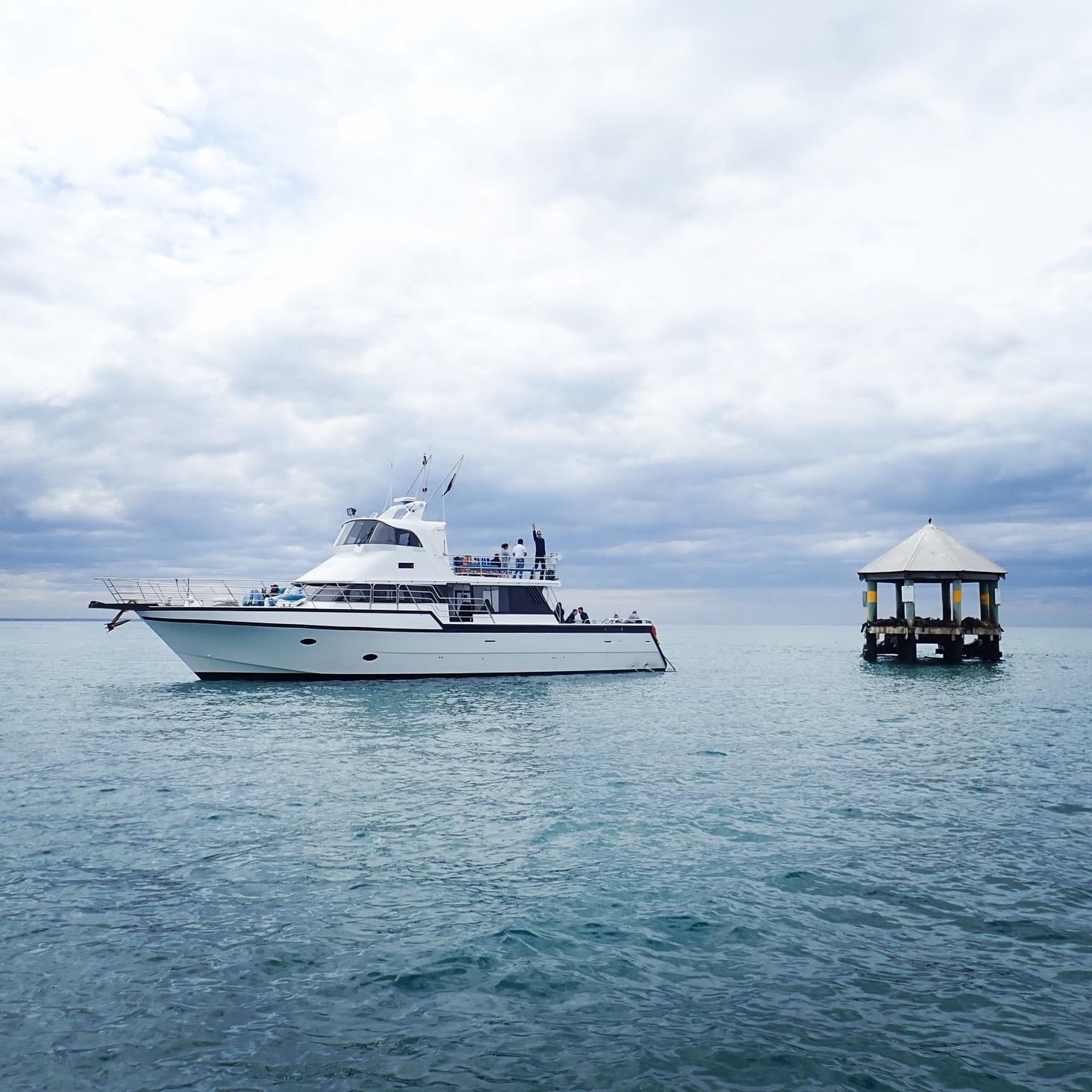 Sorrento,Mornington Peninsula: Wildlife & Sightseeing Cruise – Port Phillip Bay, Australia