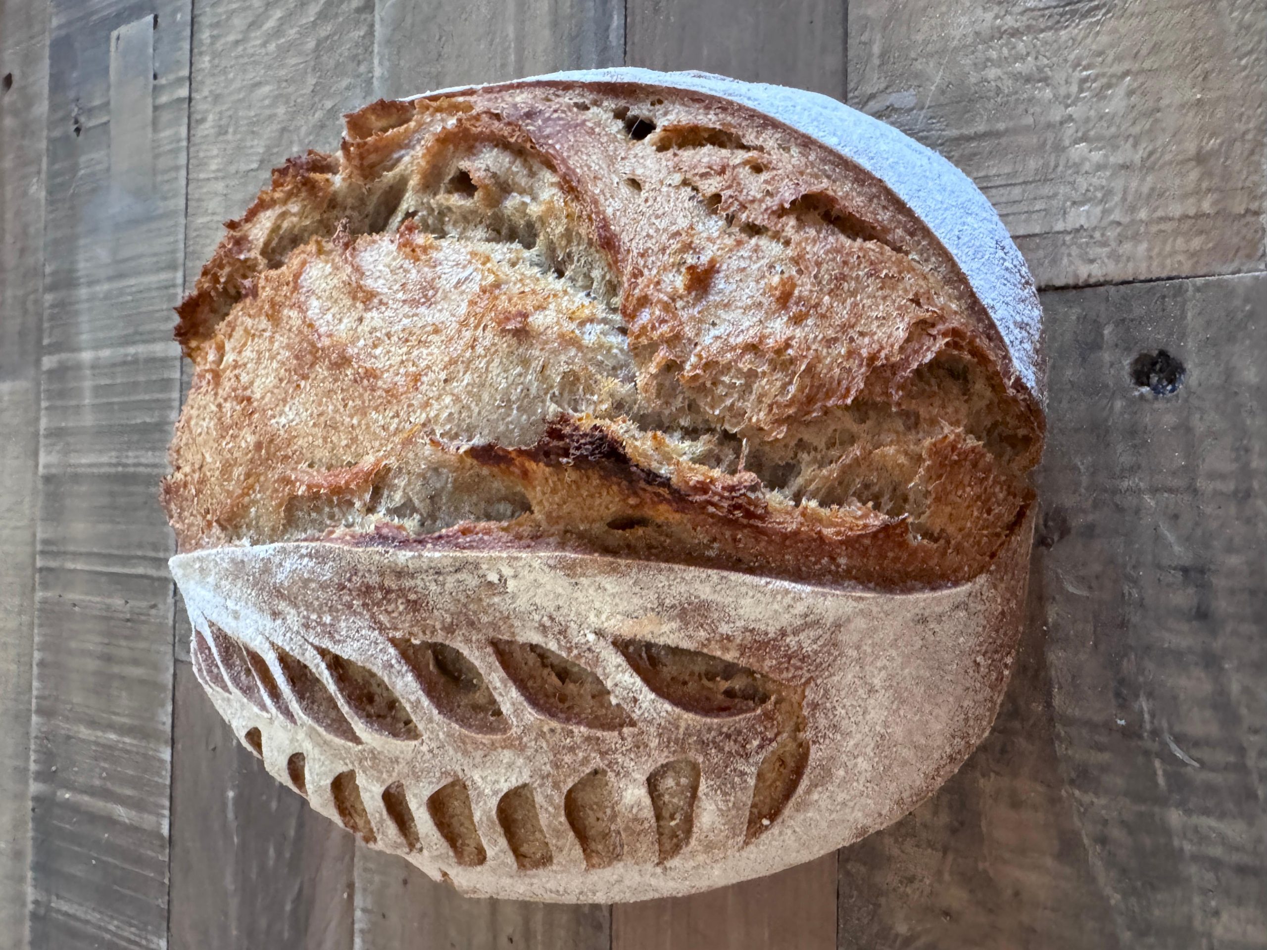 Sourdough Bread Workshop with Tastings in Scottsdale, AZ – Scottsdale, Arizona