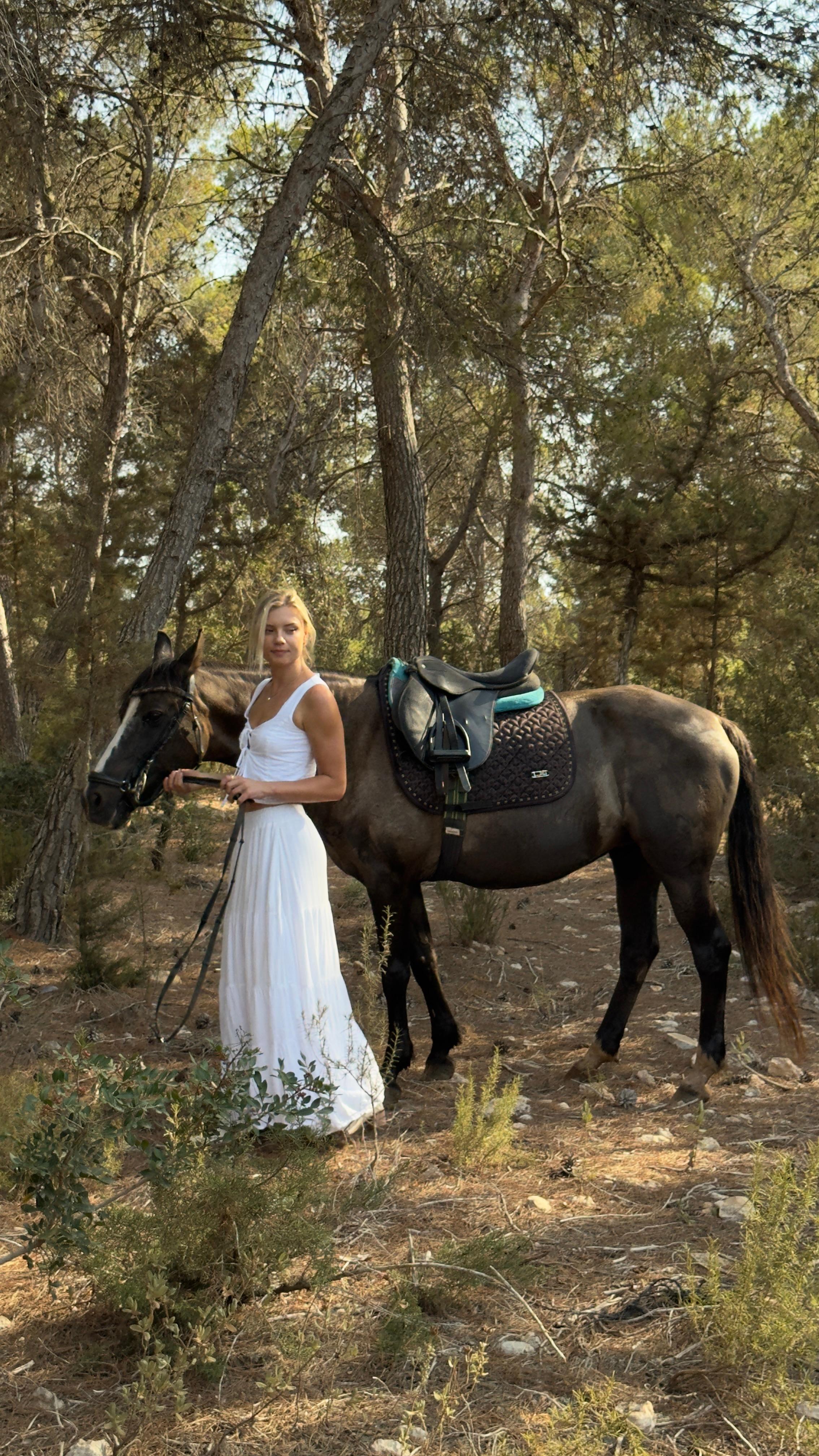 South Africa: Ant’s Nest & Hill Horseback Safari with Meals – Ant’s Nest, South Africa