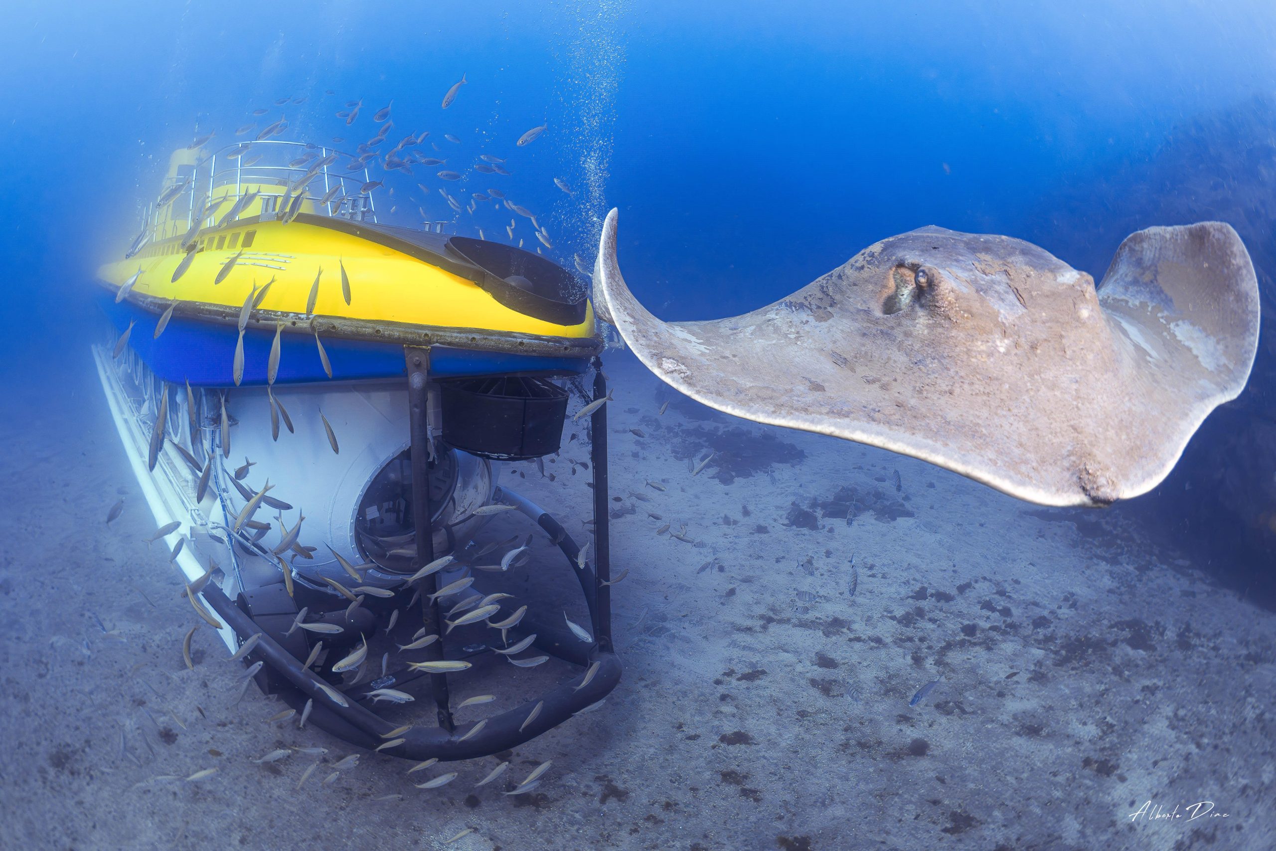 Southern Tenerife: 50-Minute Submarine Dive – San Miguel de Abona, Spain