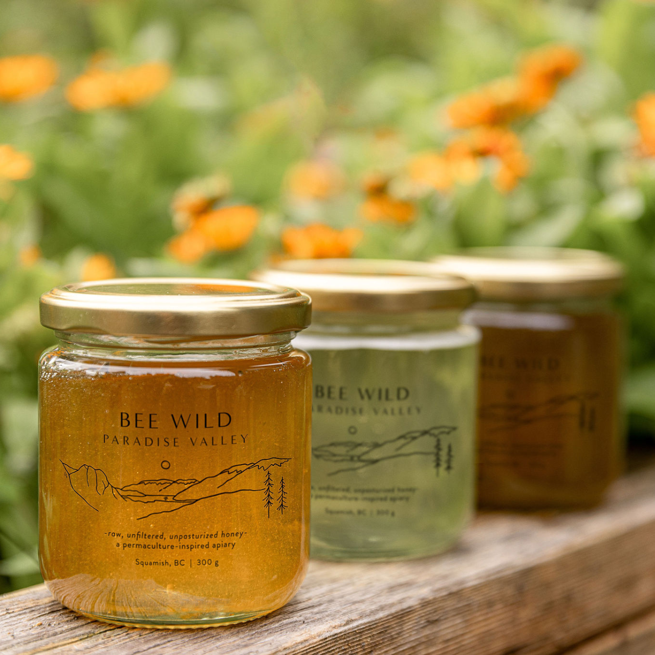 Squamish: Honey Tour Experience – Squamish, Canada