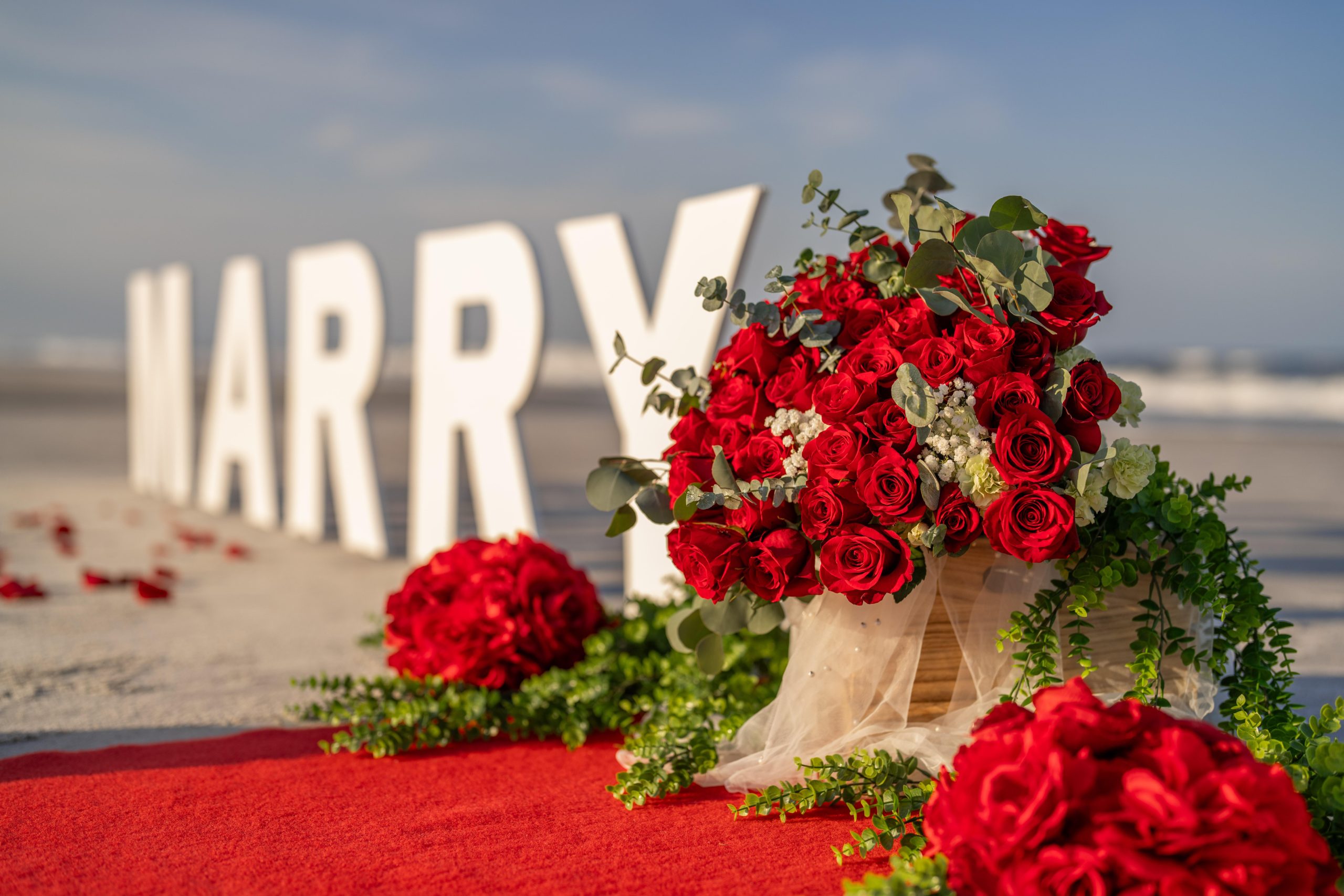 St. Augustine: Beach Proposal Experience – St. Augustine, Florida