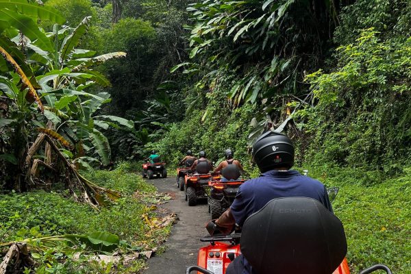 St. Lucia: ATV Tour with Beach Ride and Rum Tasting – Saint Lucia