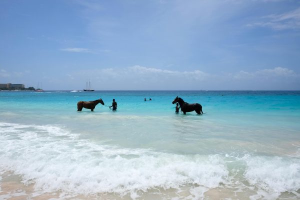 St. Lucia: Premium Beach Horseback Ride – Saint Lucia