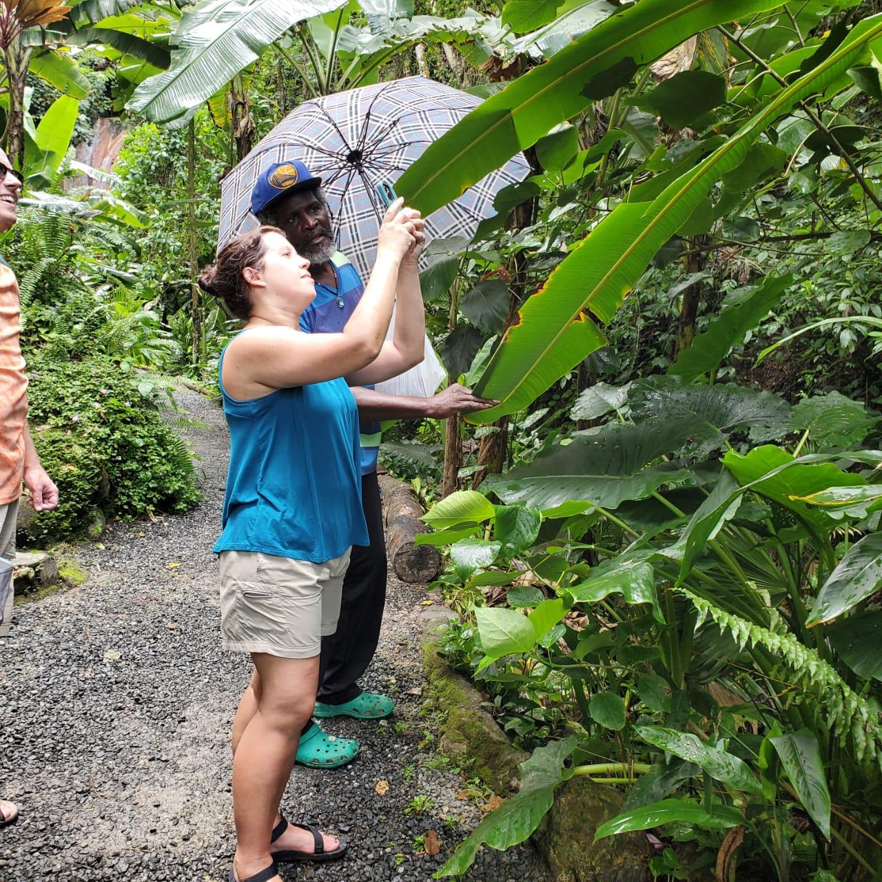 St. Lucia: Soufriere Day Trip with Mud Baths and Waterfall – Saint Lucia