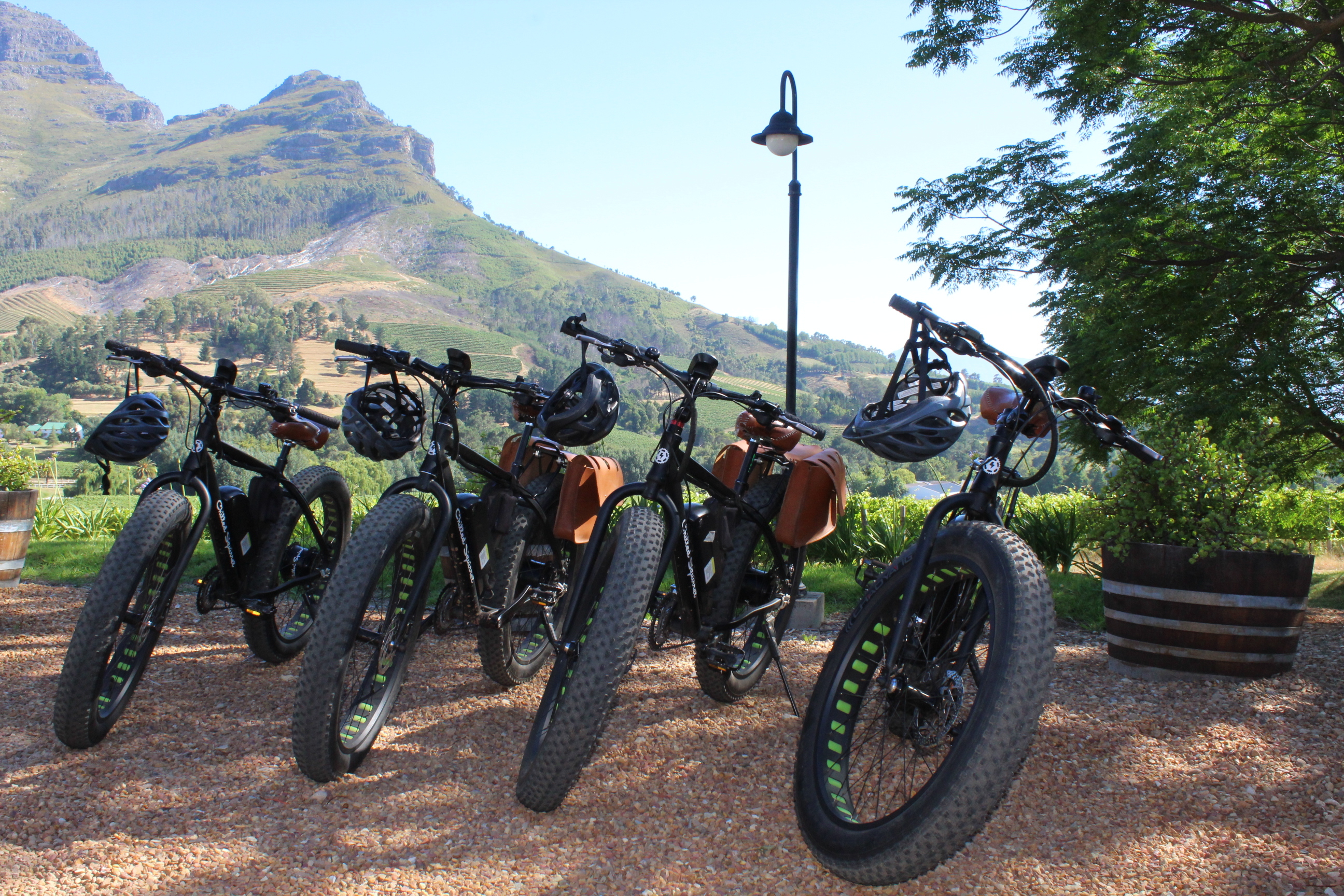 Stellenbosch: Countryside Banhoek valley E-Bike Wine Tour – Stellenbosch, South Africa