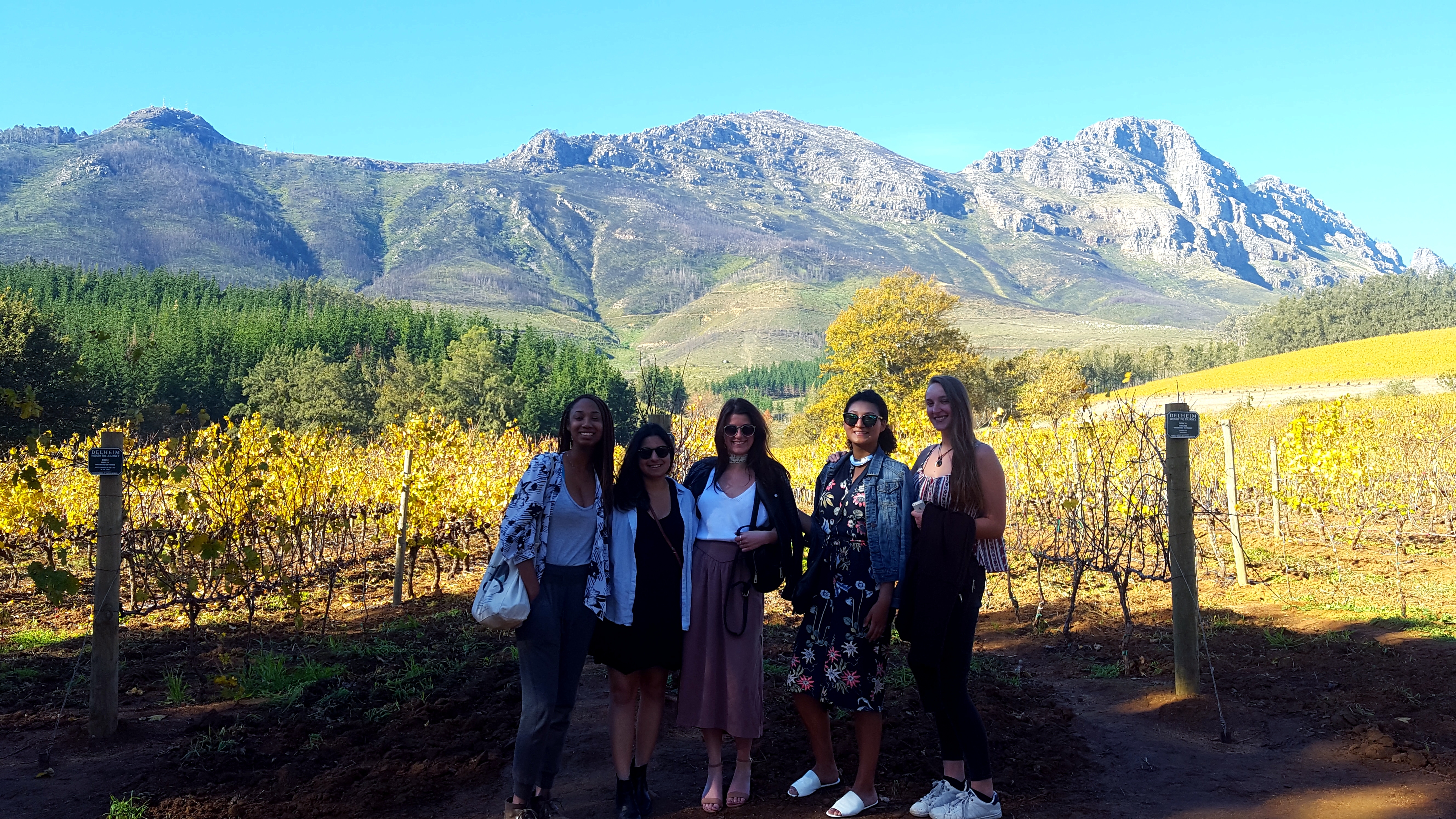 Stellenbosch: Eastern Route Hop-On Hop-Off Wine Tour – Stellenbosch, South Africa