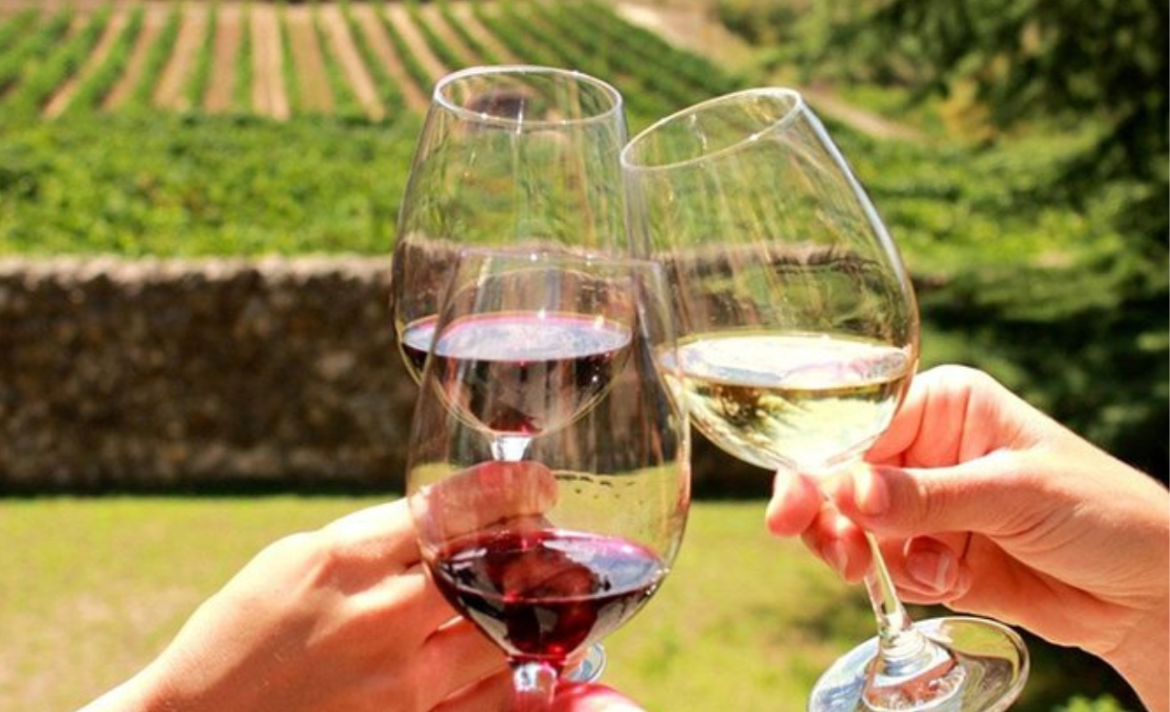 Stellenbosch: Half-Day Wine Tour – Cape Town, South Africa