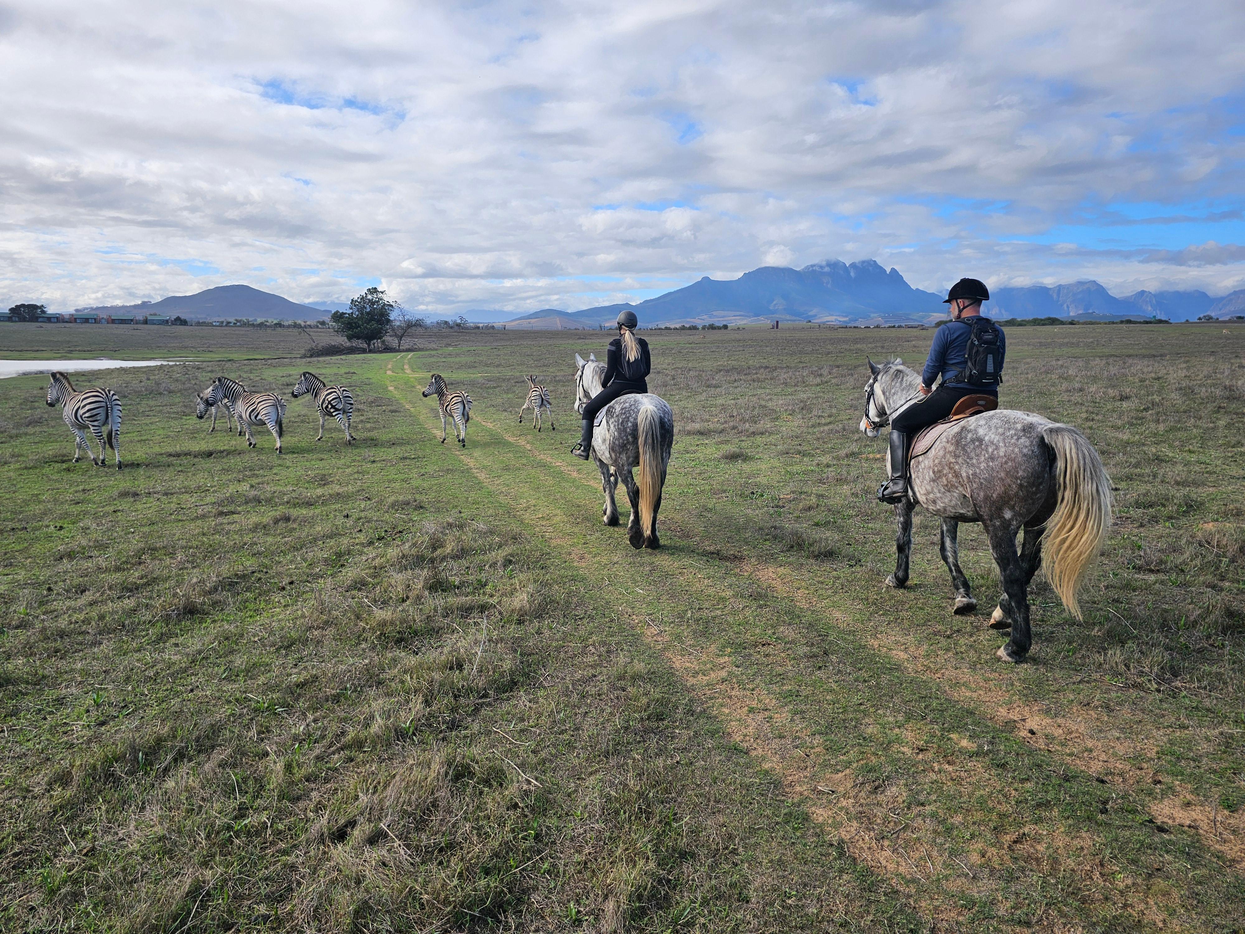 Stellenbosch: Horse Riding Wildlife Safari – Stellenbosch, South Africa