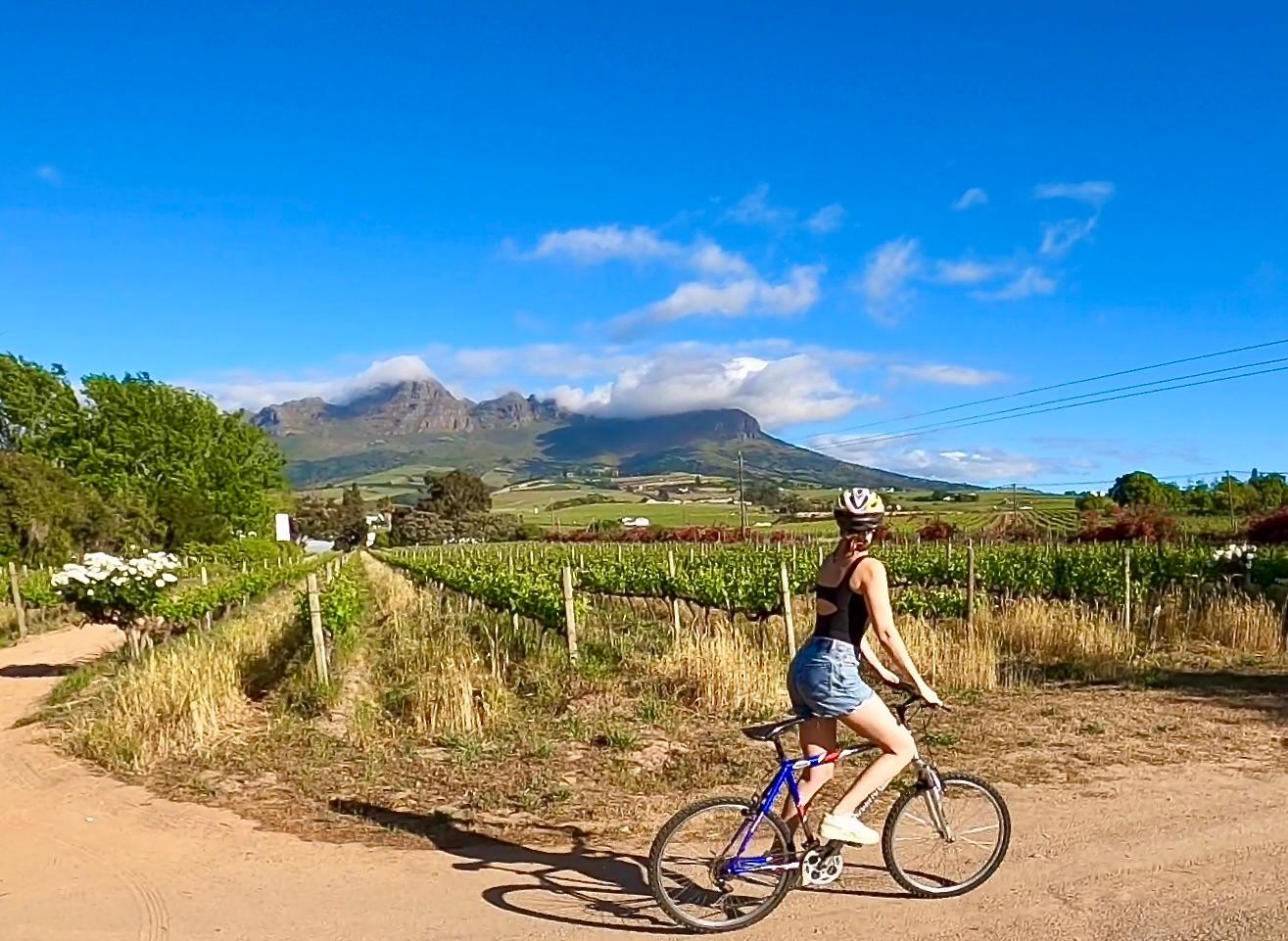 Stellenbosch: Self Guided Biking & Wine Tasting – Cape Town, South Africa