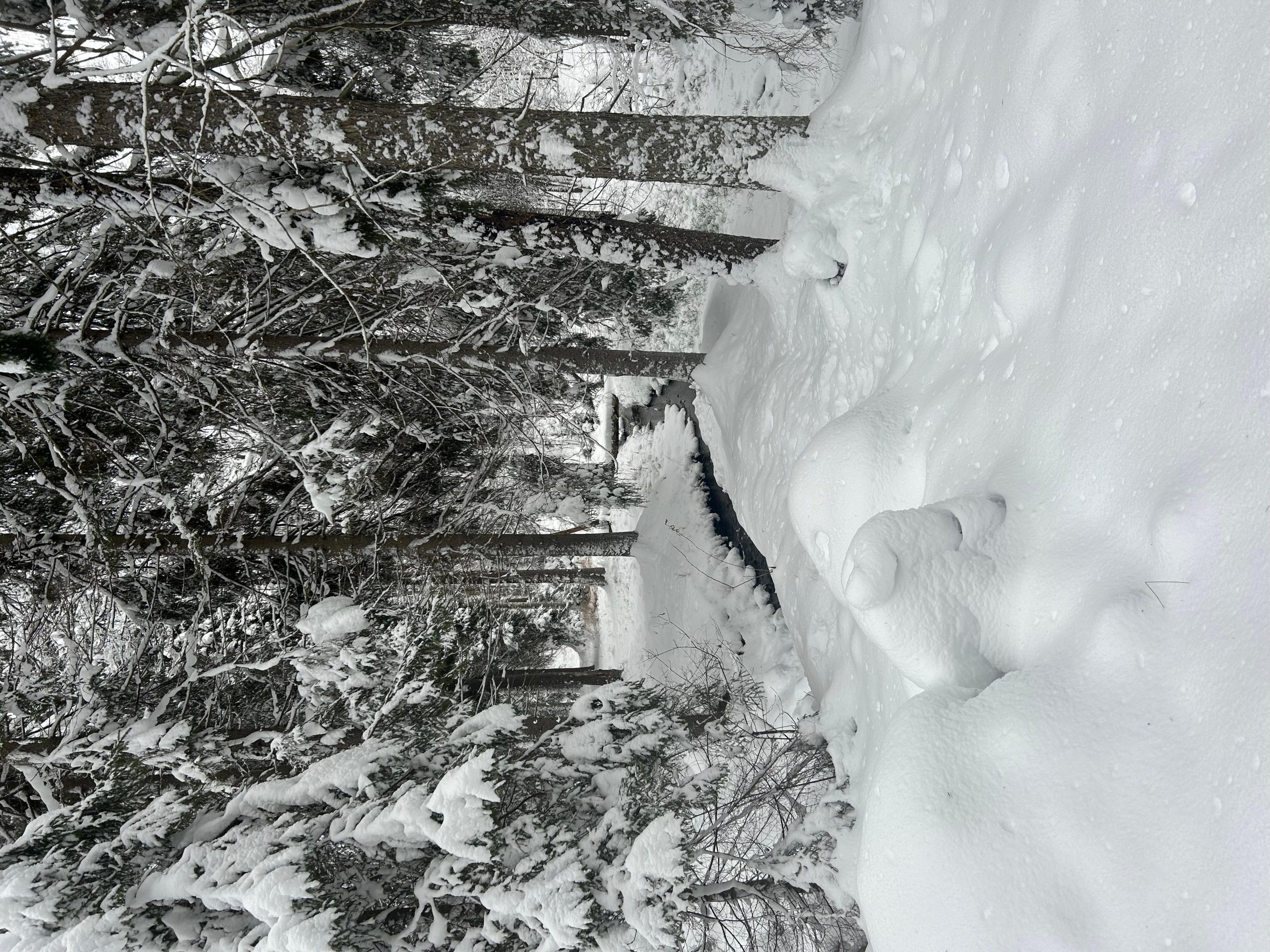 Stockholm: Guided traditional sauna – Stockholm, Sweden