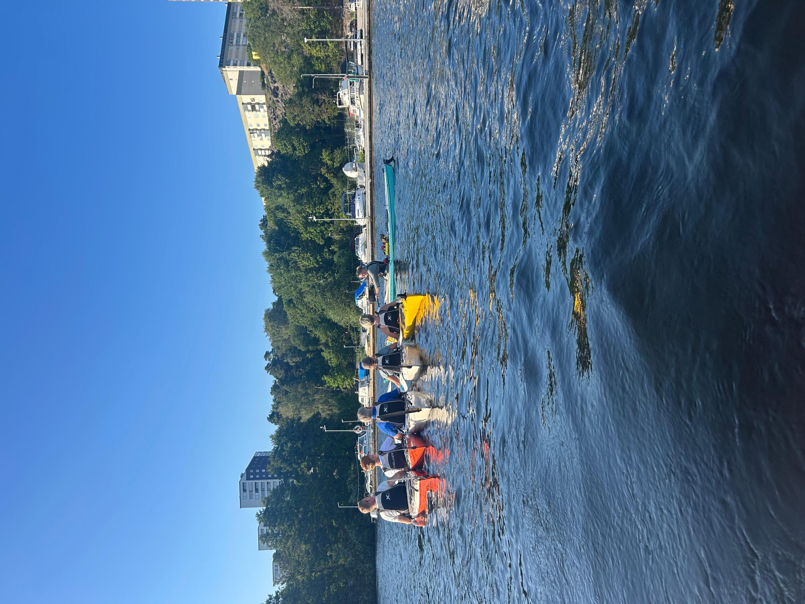 Stockholm: Kayak course for beginners – Solna, Sweden
