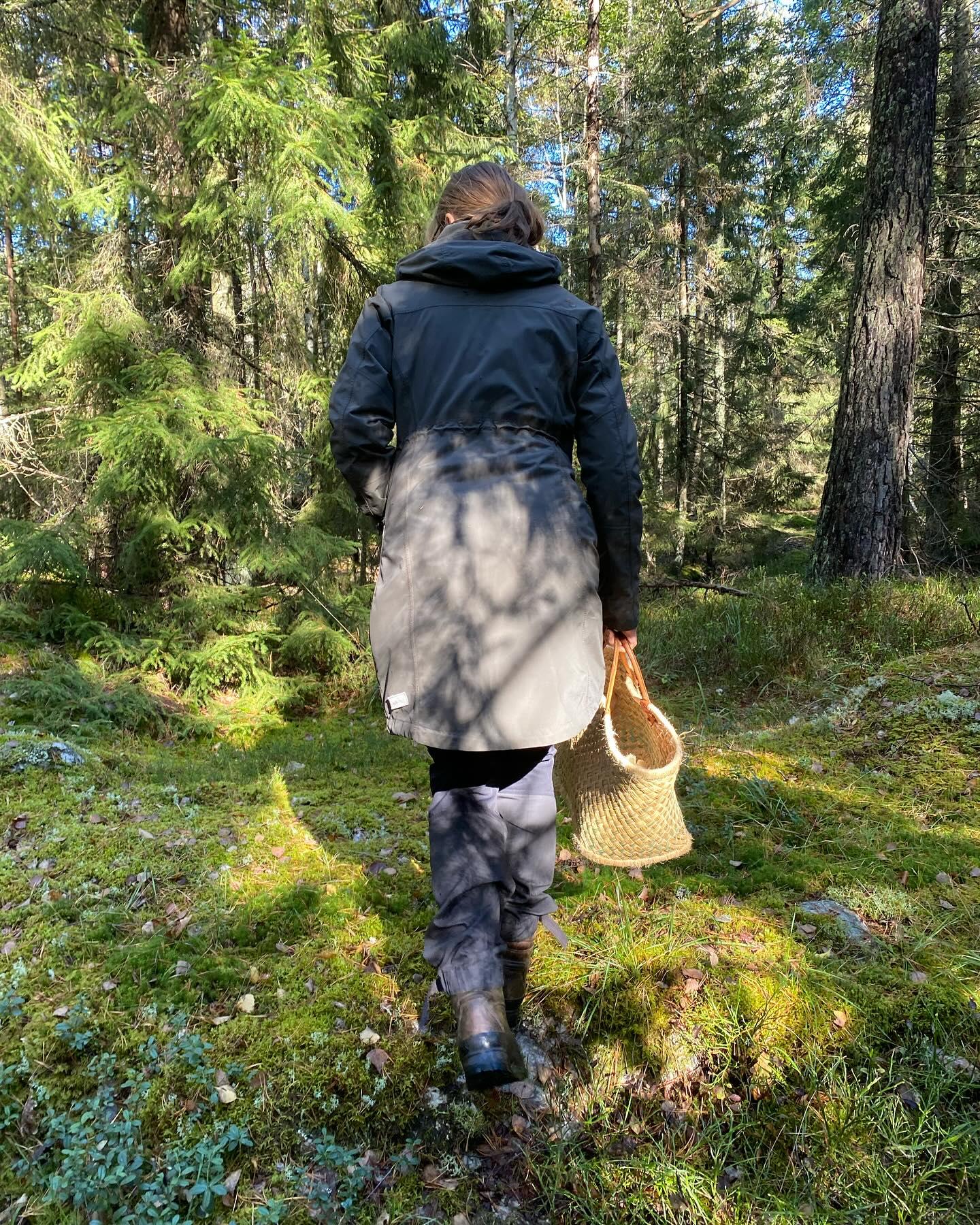 Stockholm, Mushroom and Wild Plant Foraging Tour with expert – Kottlasjon, Sweden