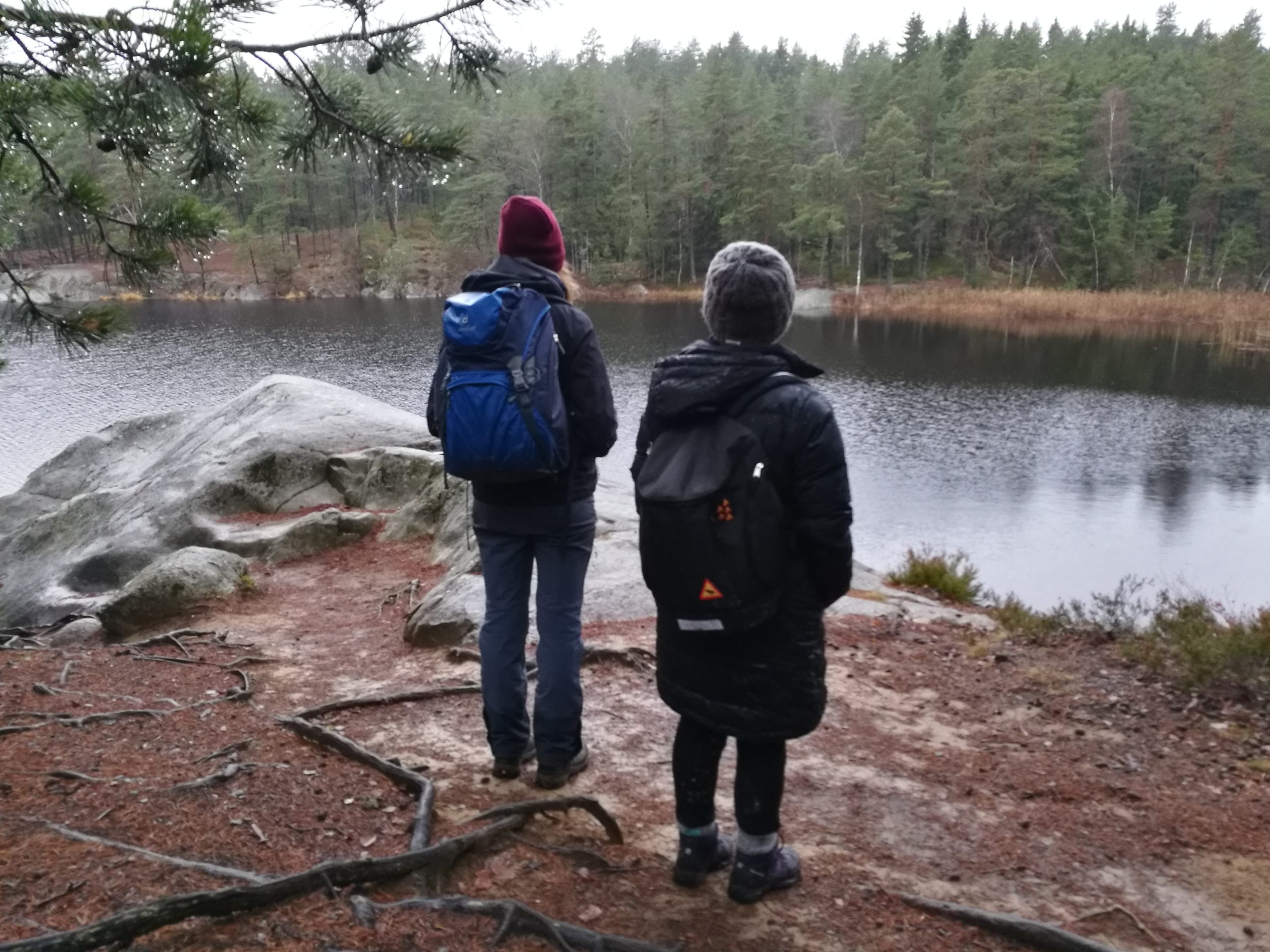 Stockholm: Nature Hike with Campfire Lunch – Stockholm, Sweden