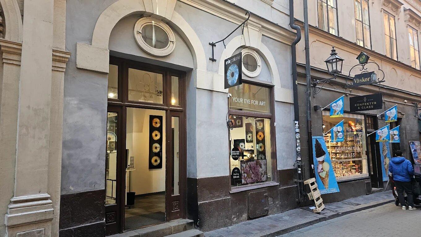 Stockholm: Reveal Your Eye Experience at the Iris Galerie – Stockholm, Sweden
